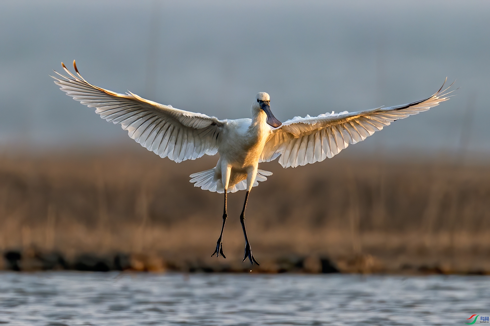 _32I5907 ����.jpg