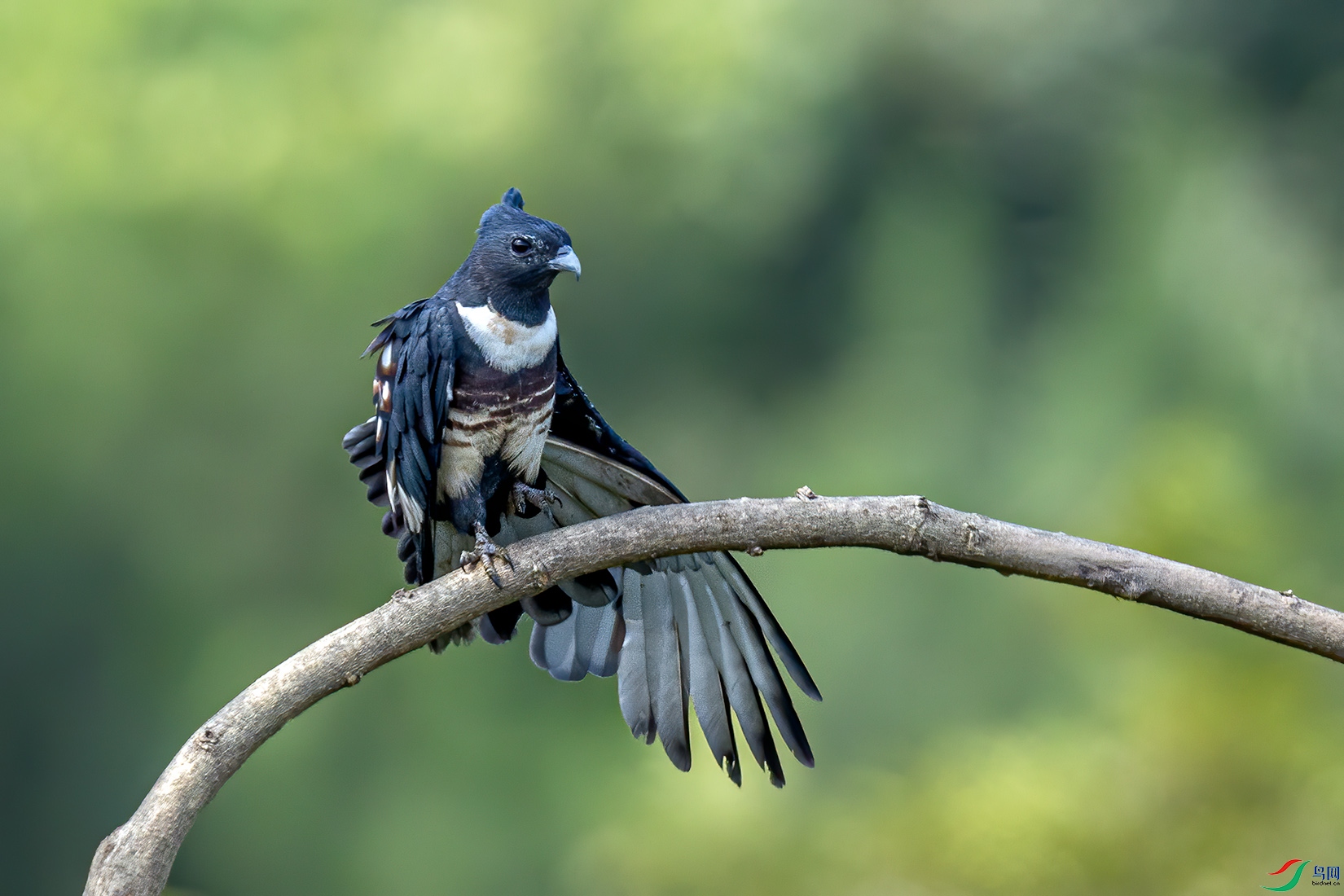 _32I6876 ����.jpg