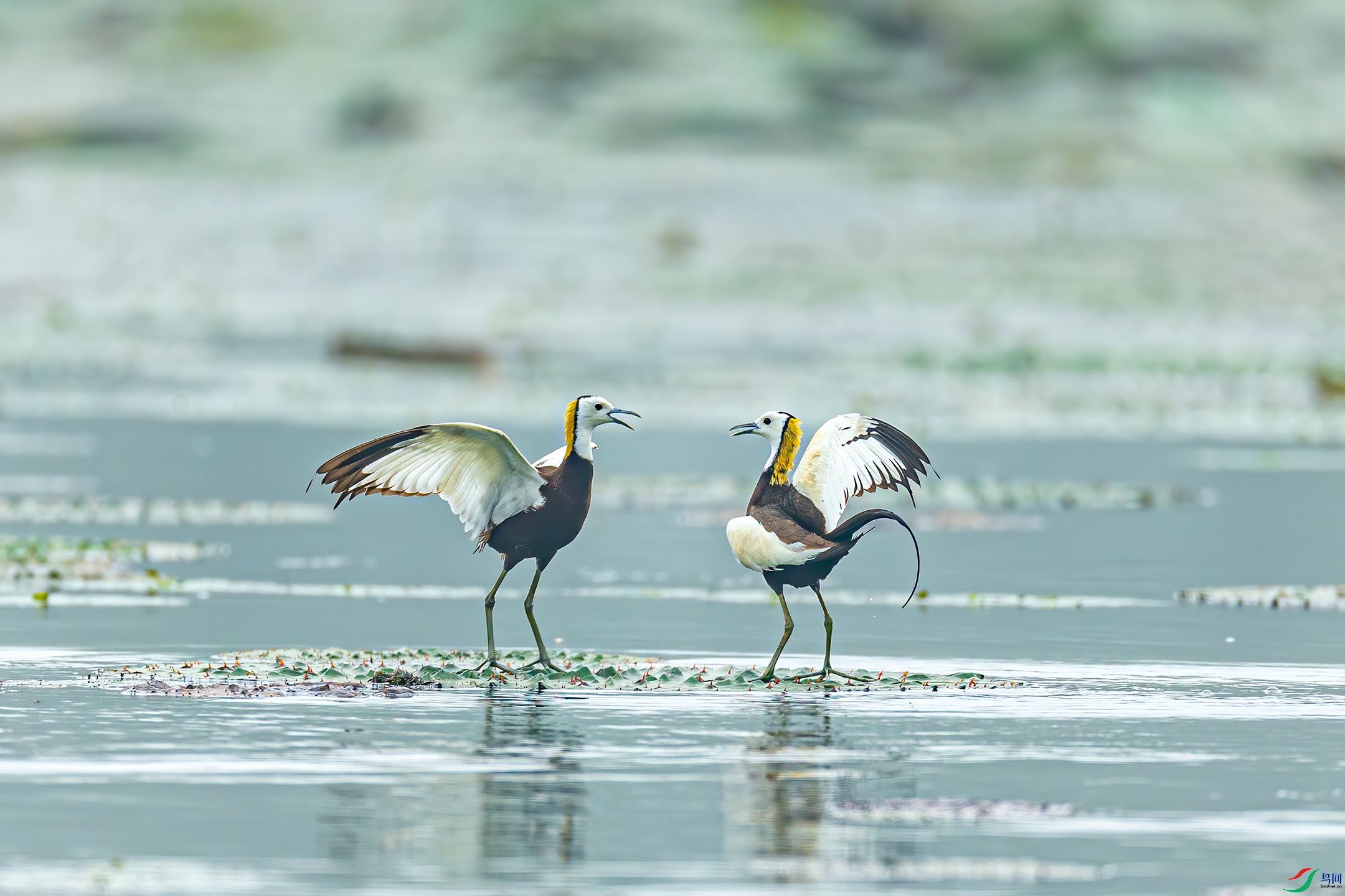 _TAO9059 ����.jpg