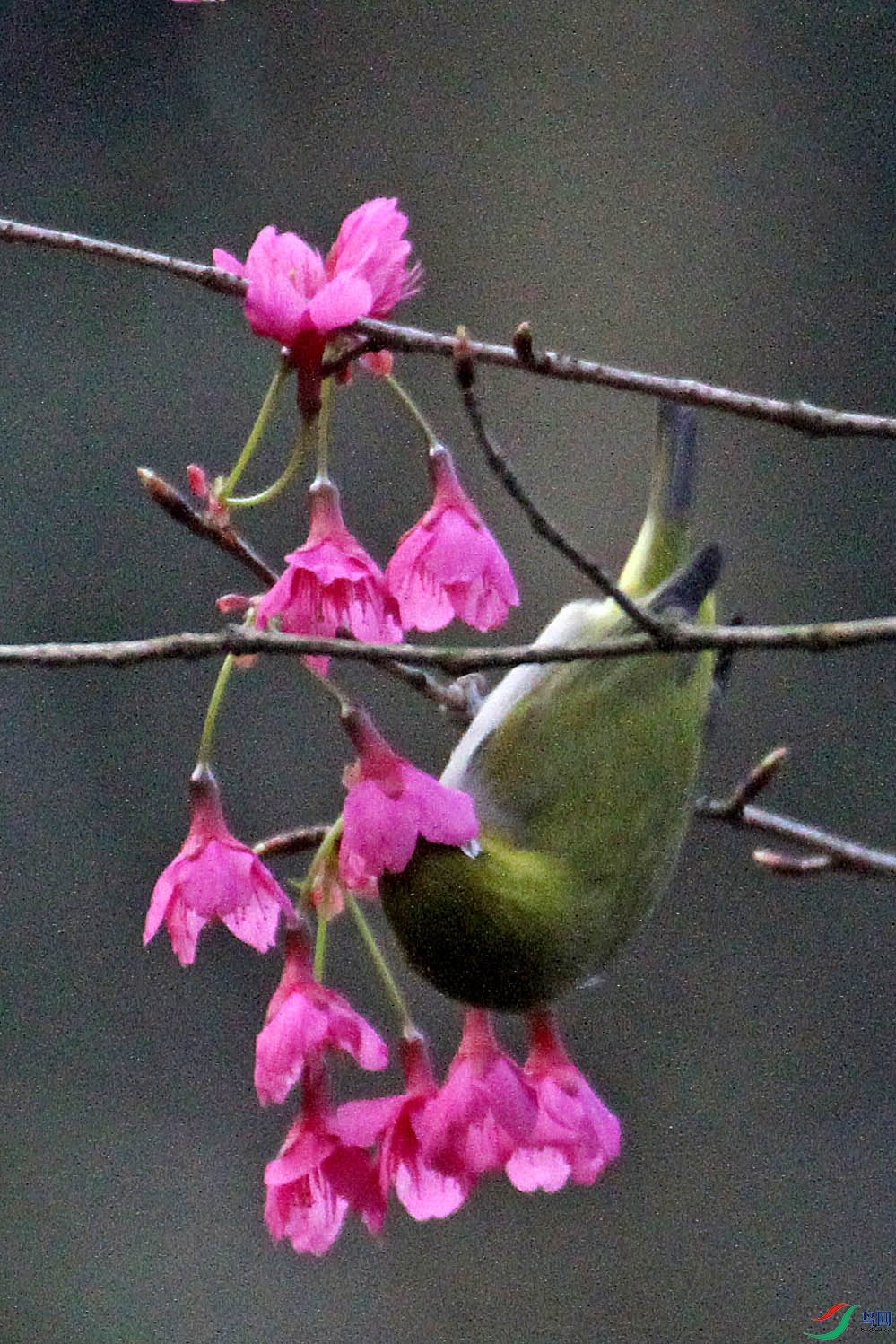 IMG_6609.JPG