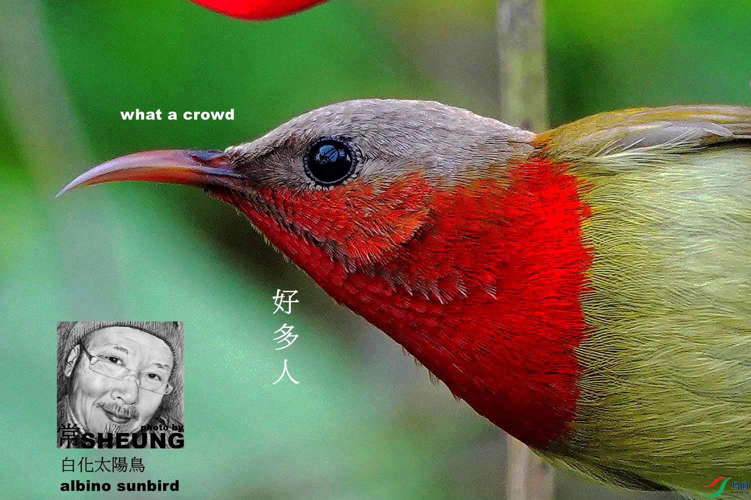 sd DSC04445 3nmete.jpg