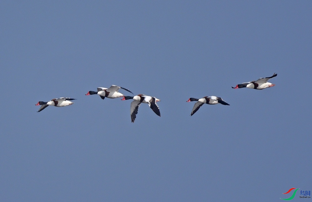DSC_3255.jpg