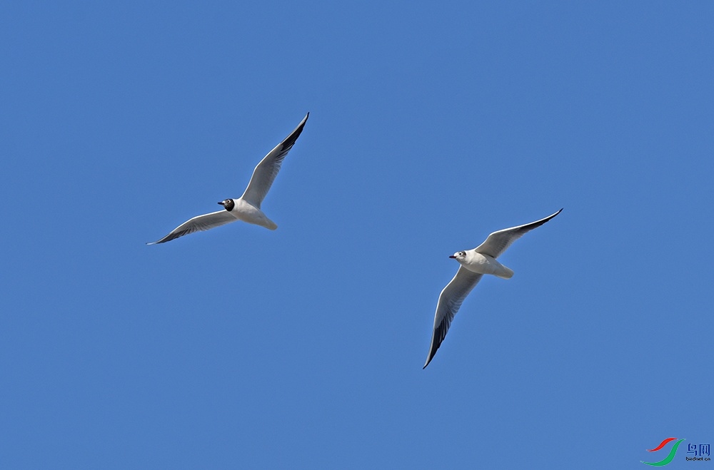 DSC_3835.jpg