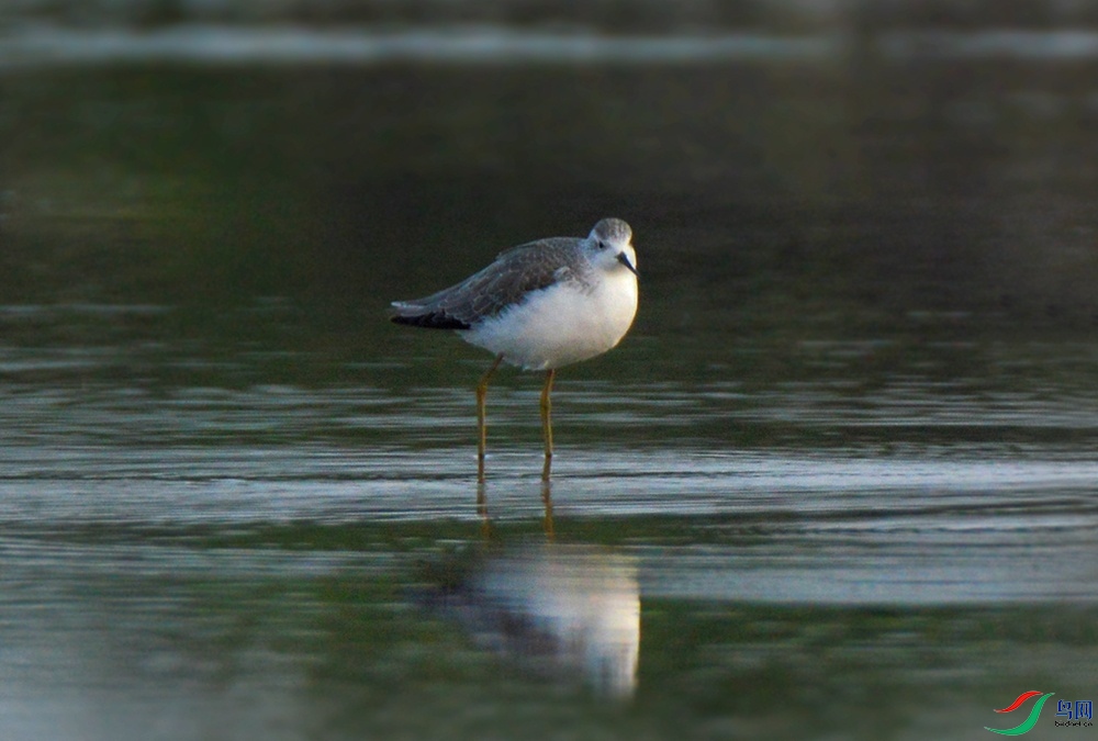 DSC_0513.jpg