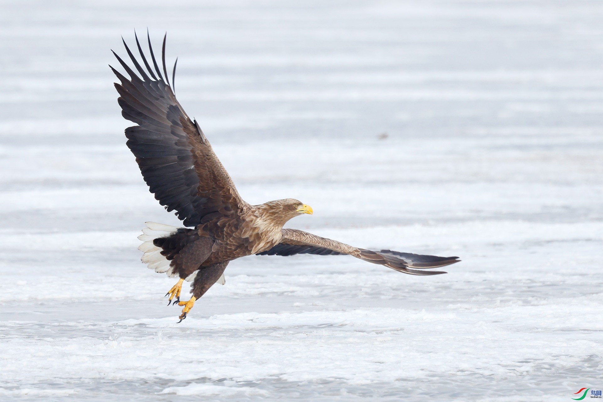 _MG_3954-1-1.jpg