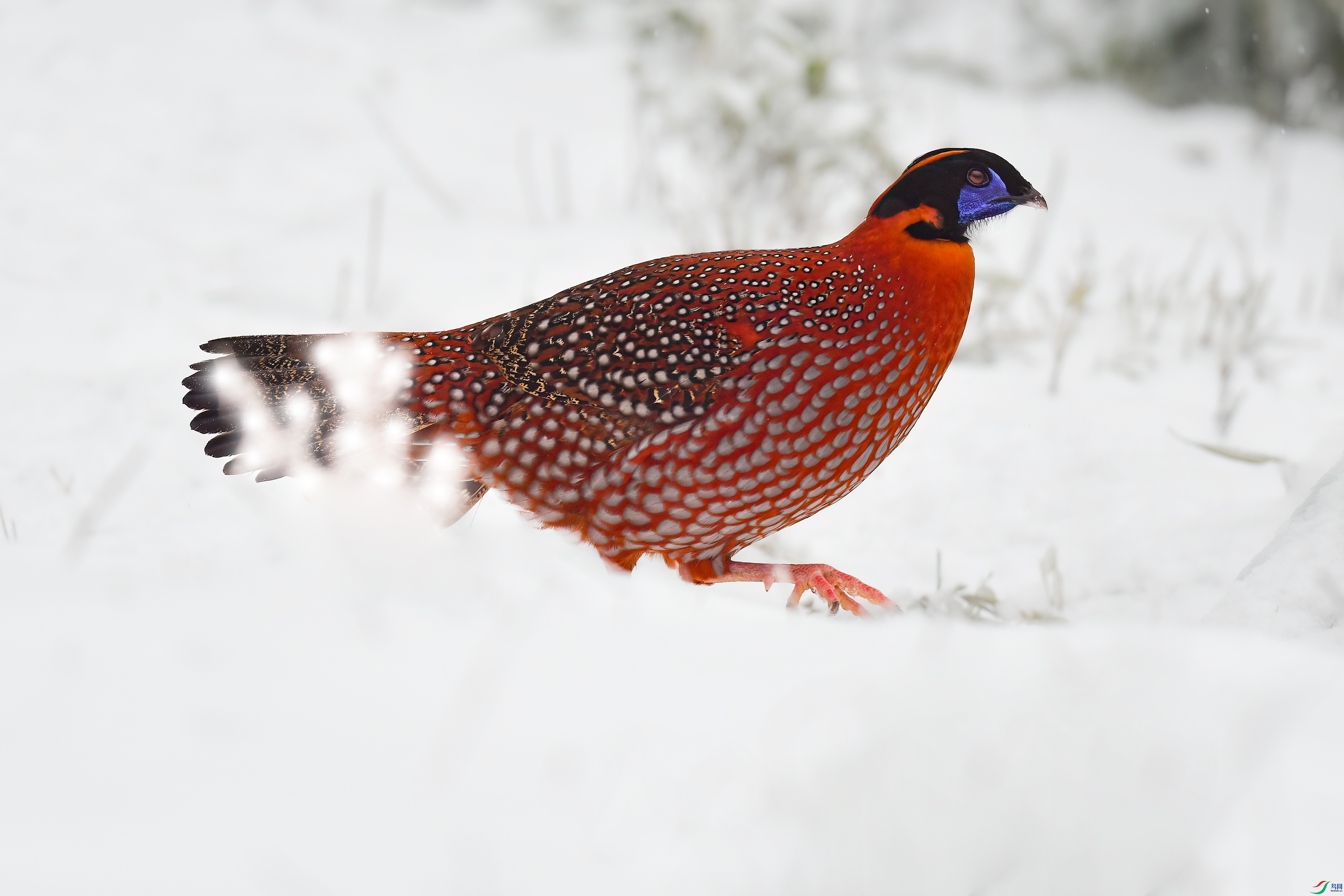 DSC_3401.JPG