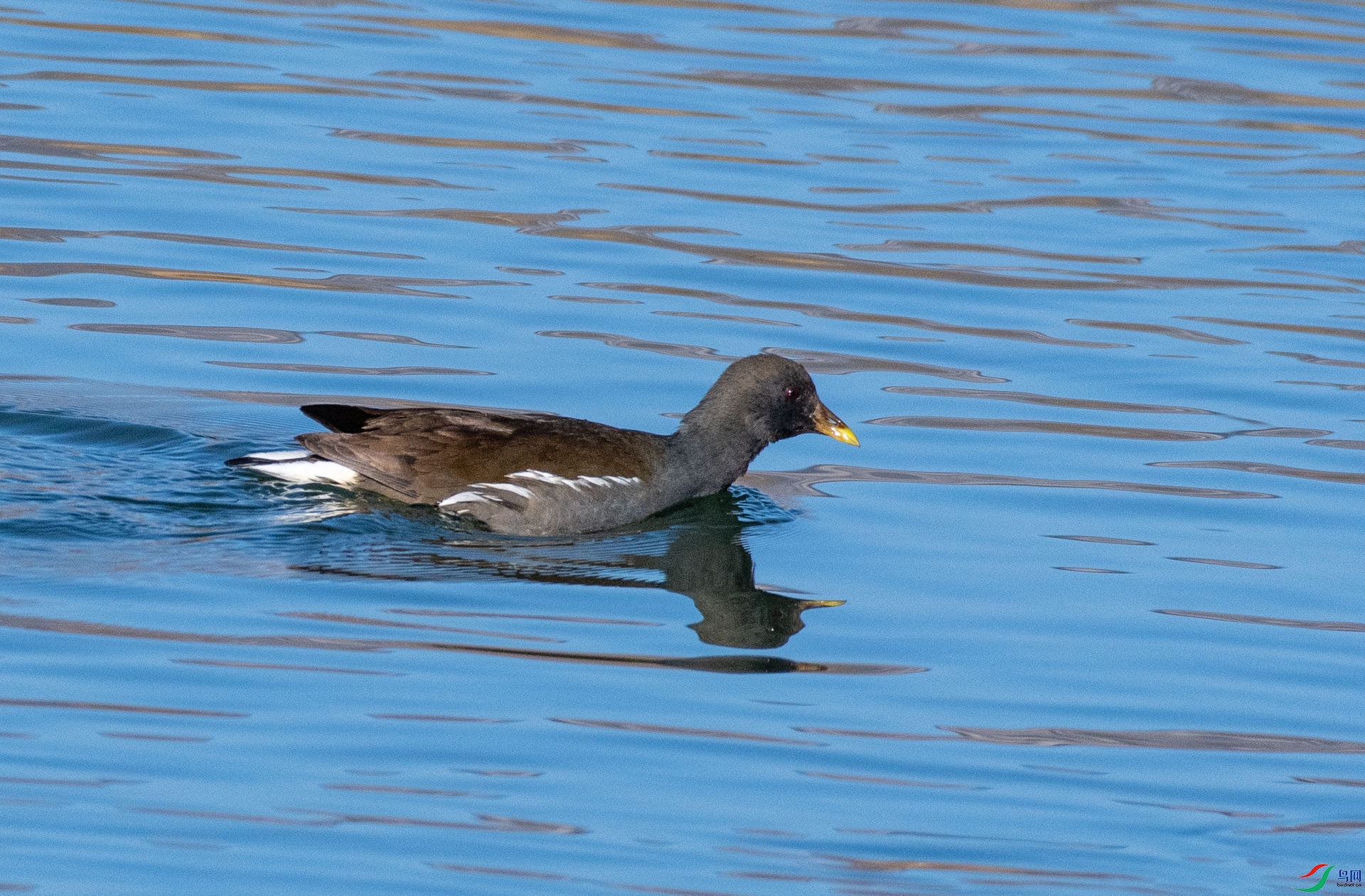 DSC_9928.jpg