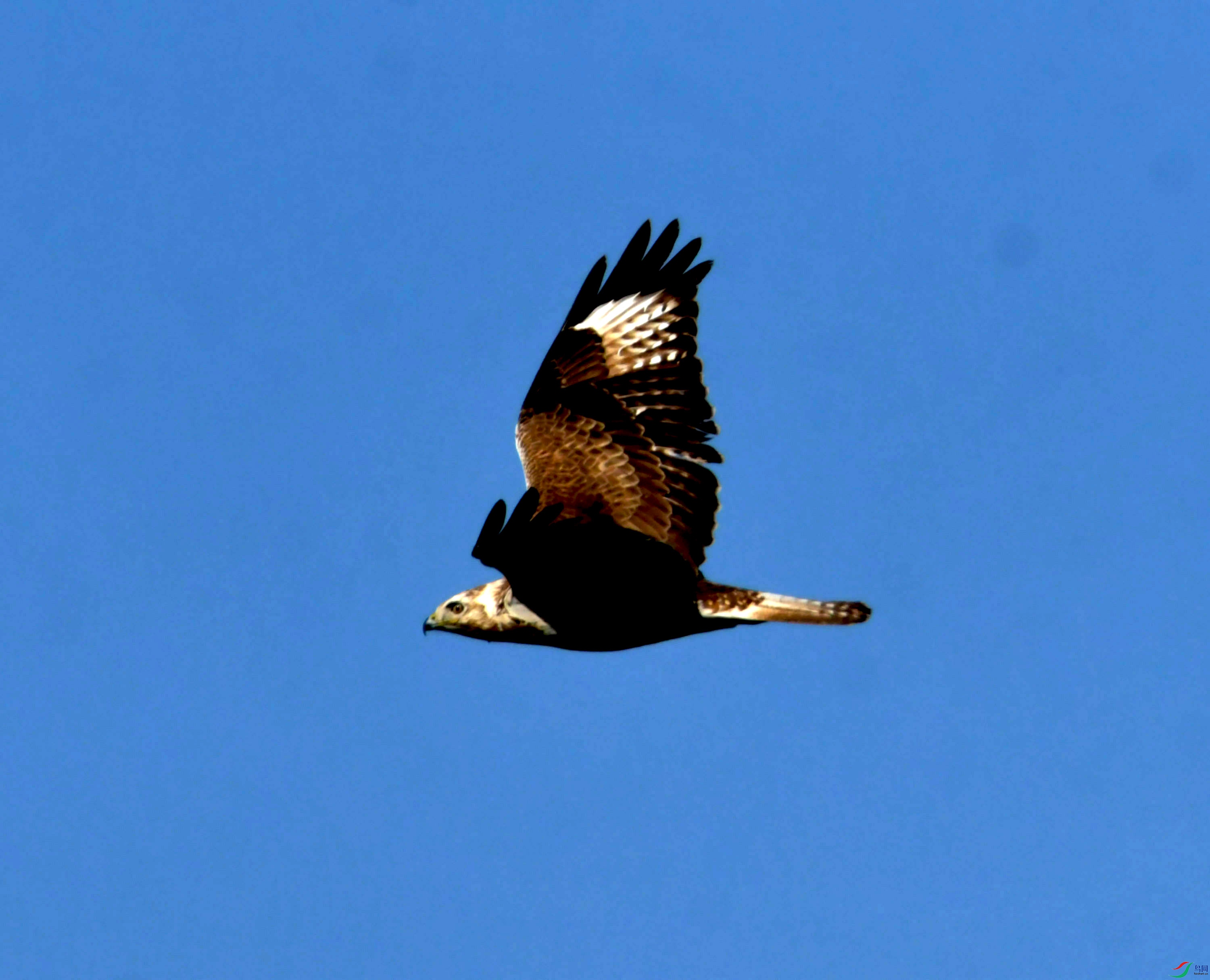DSC_2494.JPG