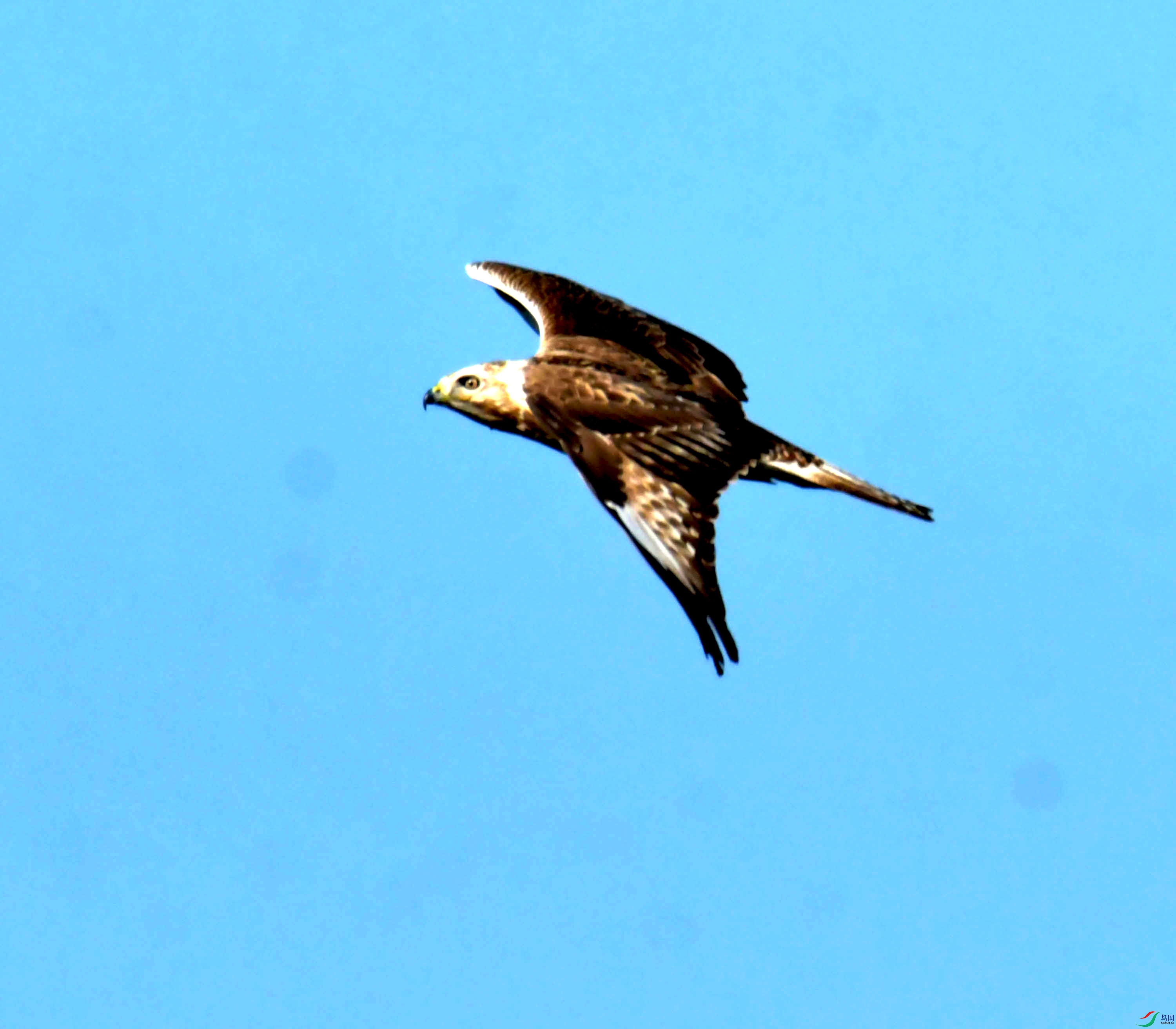 DSC_2495.JPG