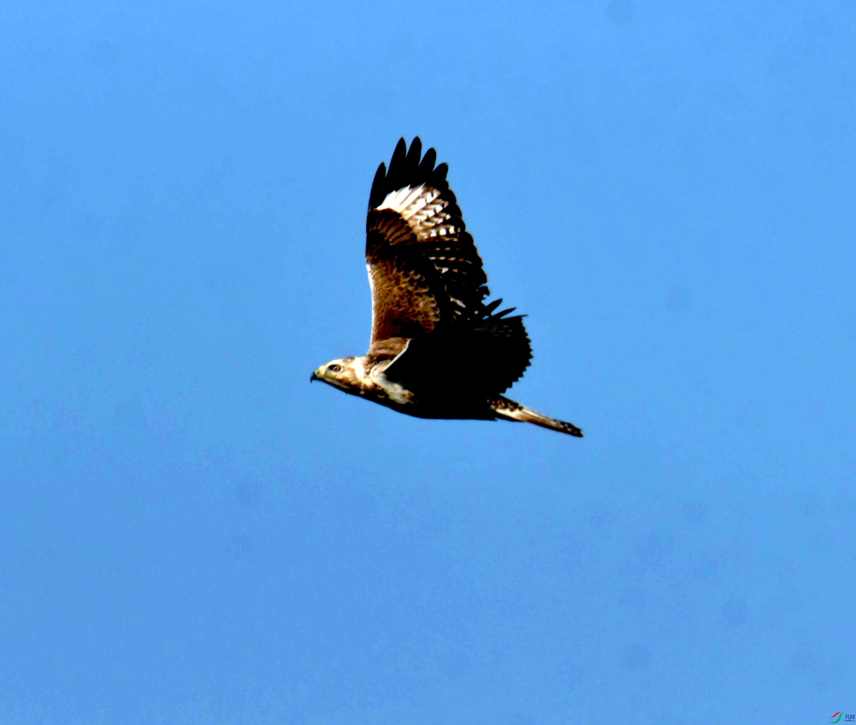 DSC_2496.JPG