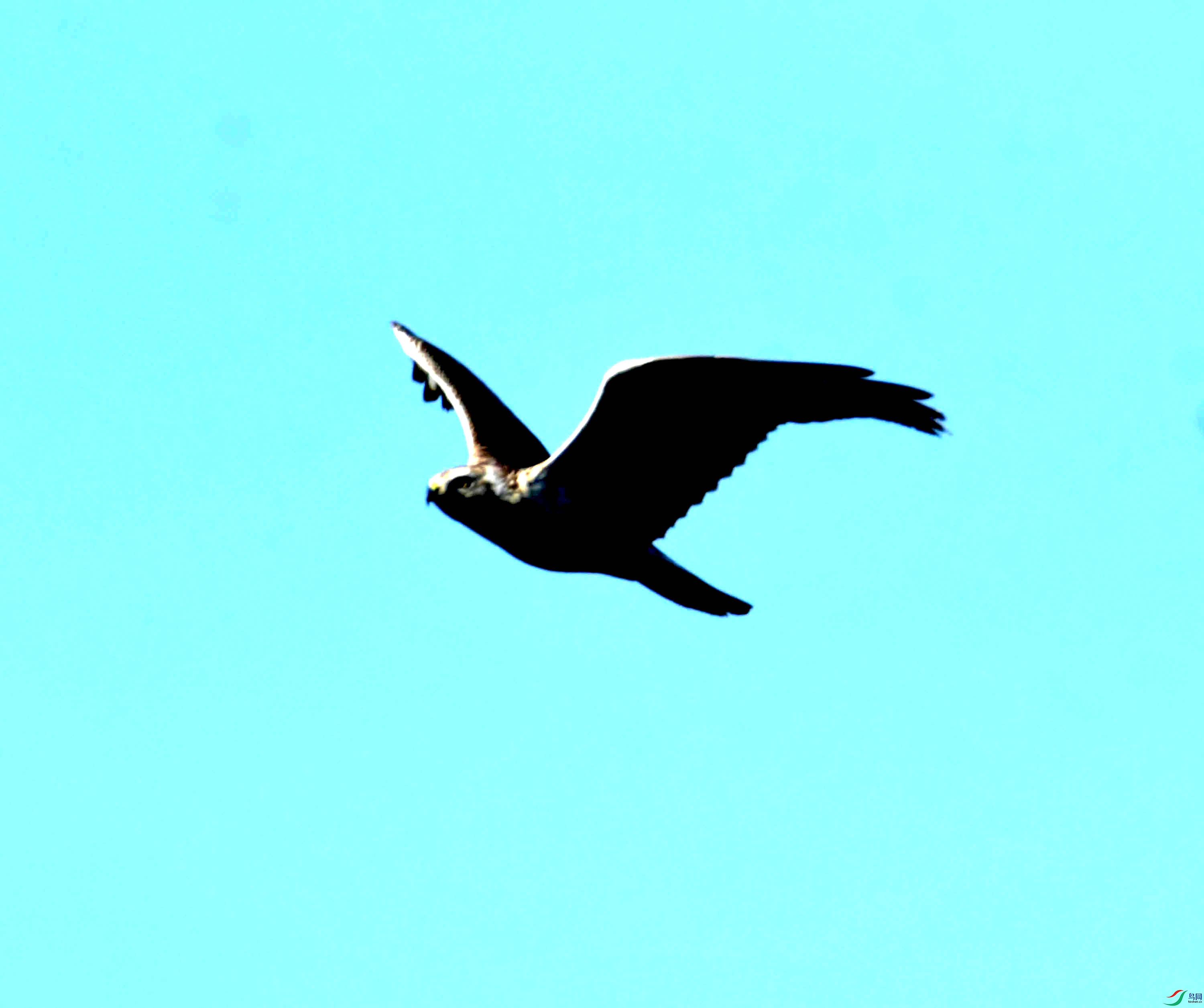 DSC_2500.JPG