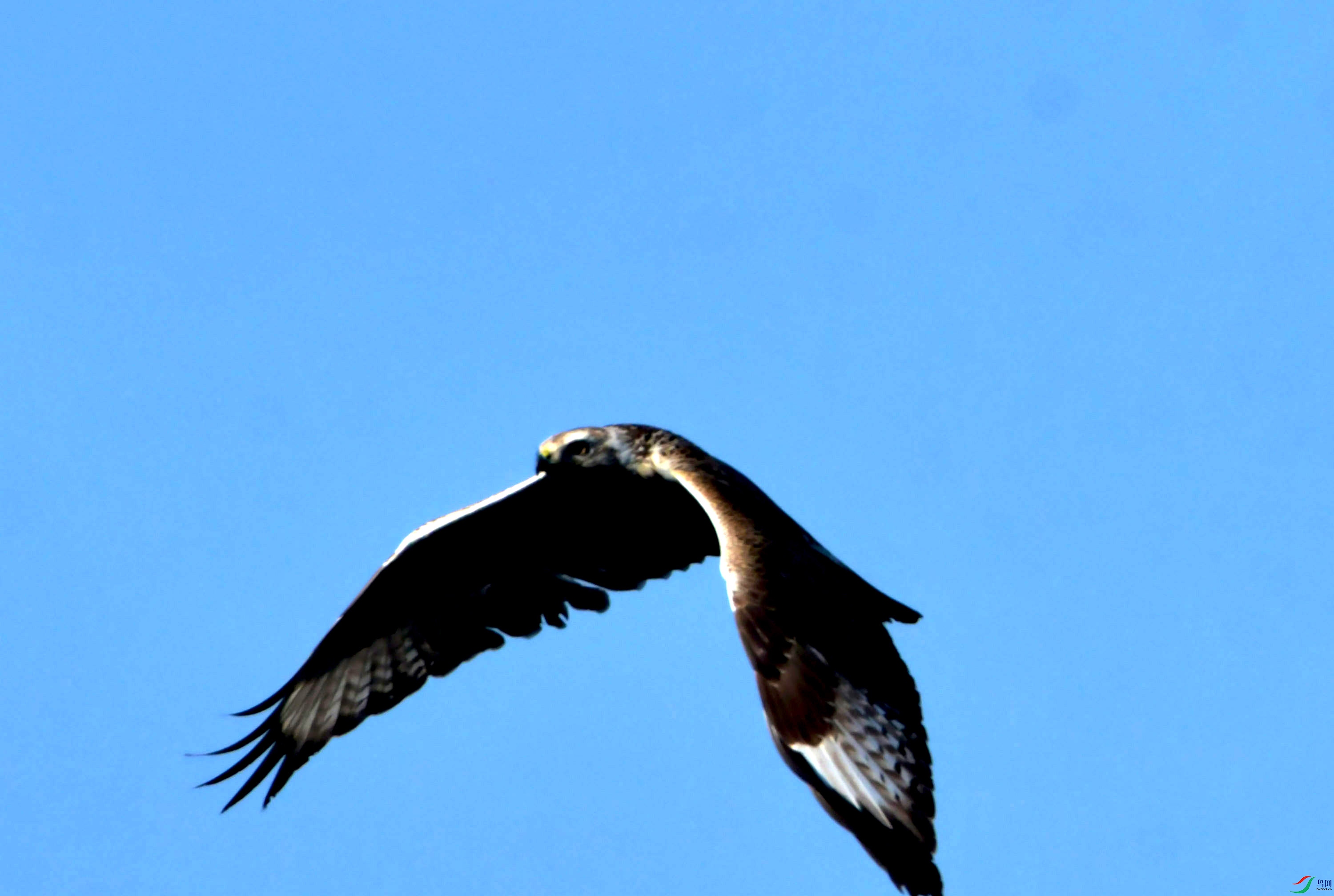 DSC_2499.JPG