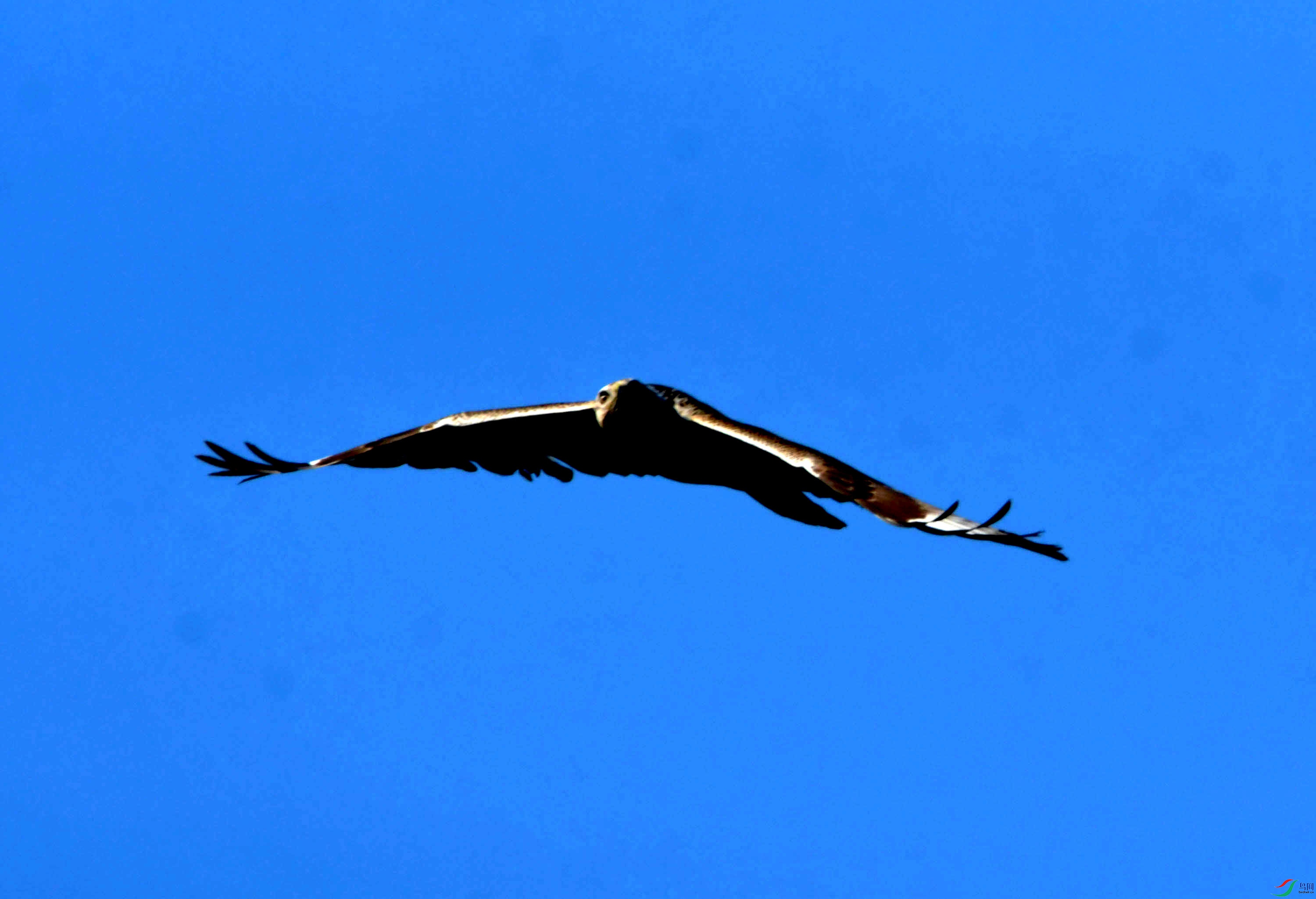 DSC_2501.JPG