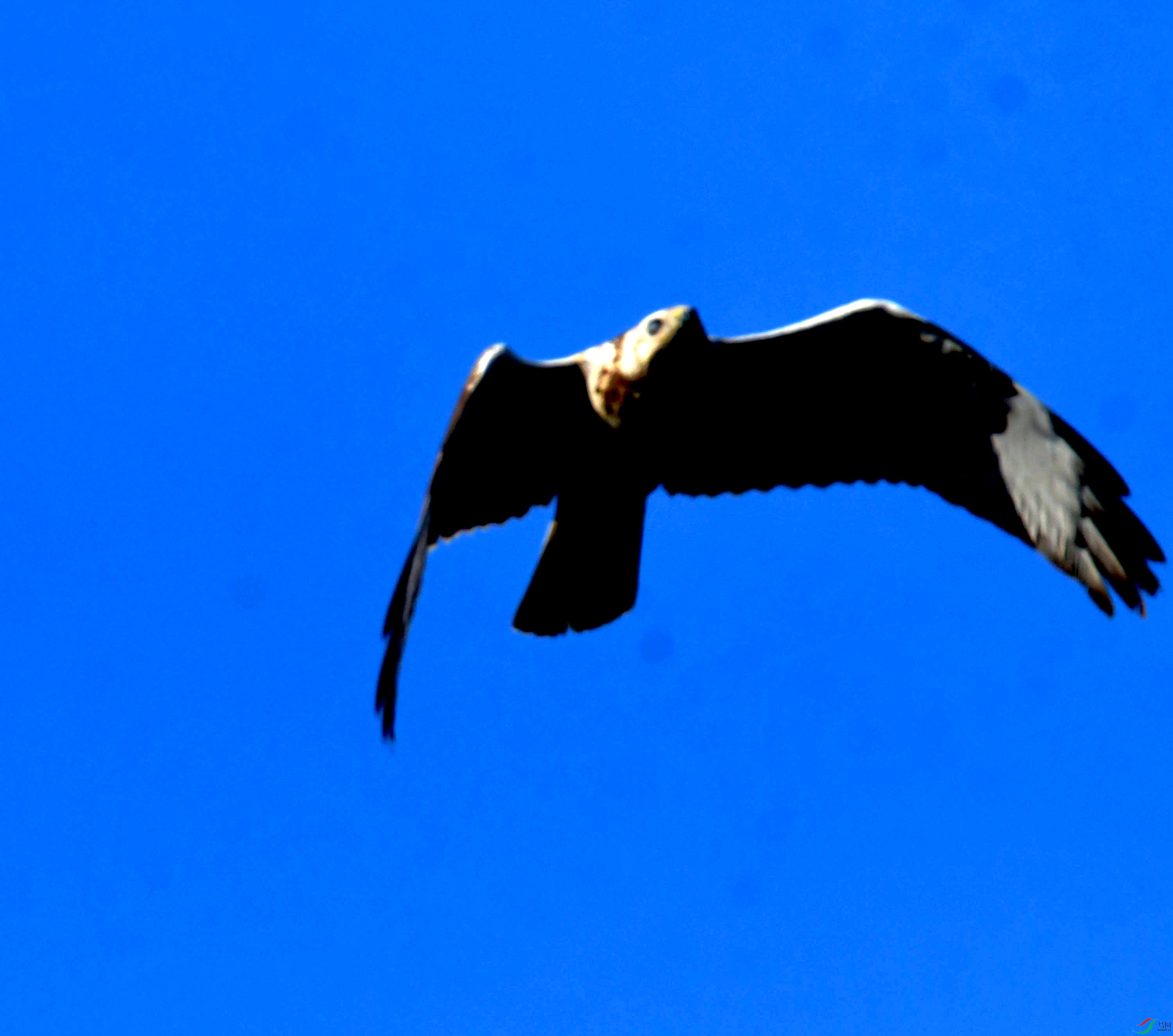 DSC_2516.JPG