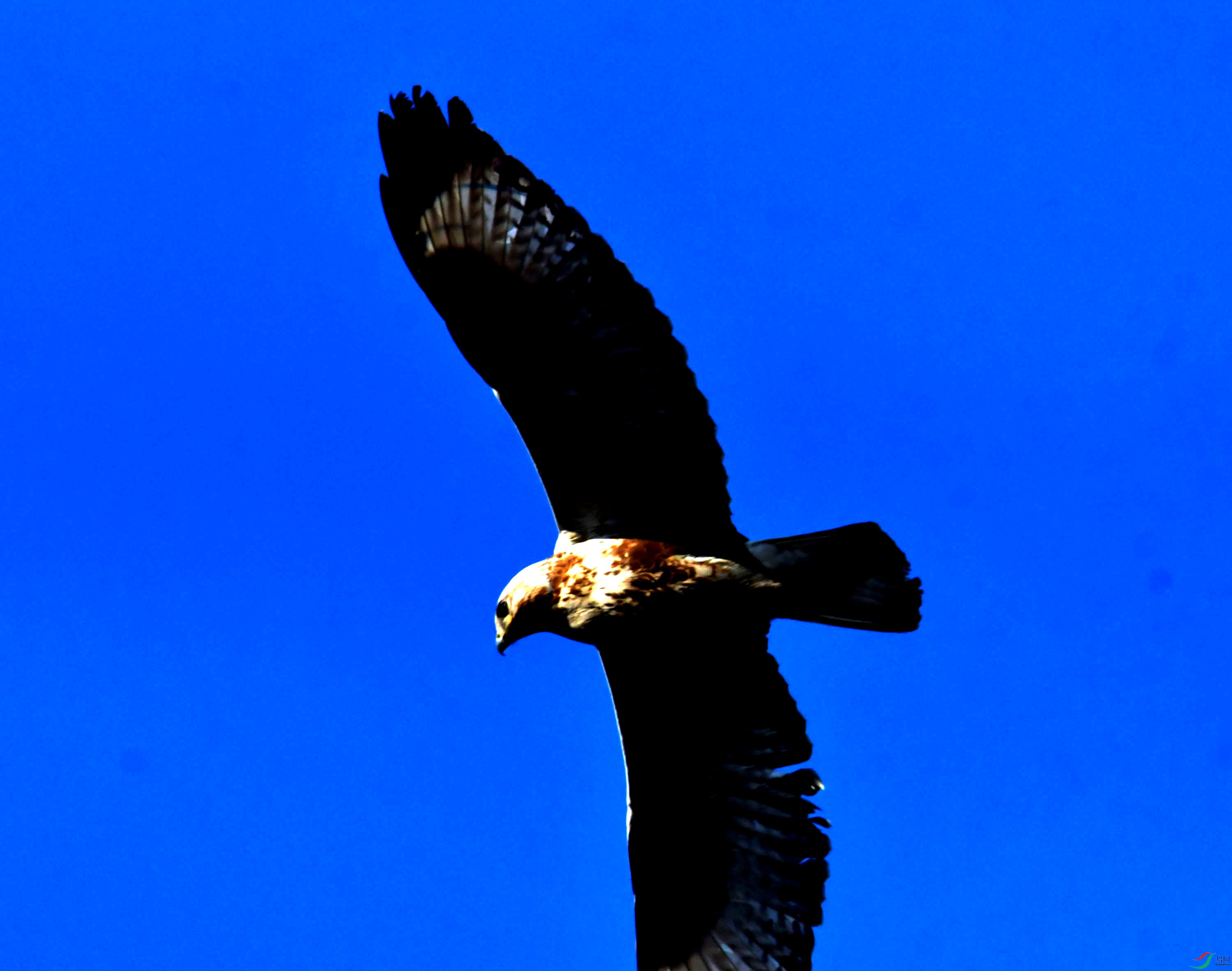 DSC_2525.JPG