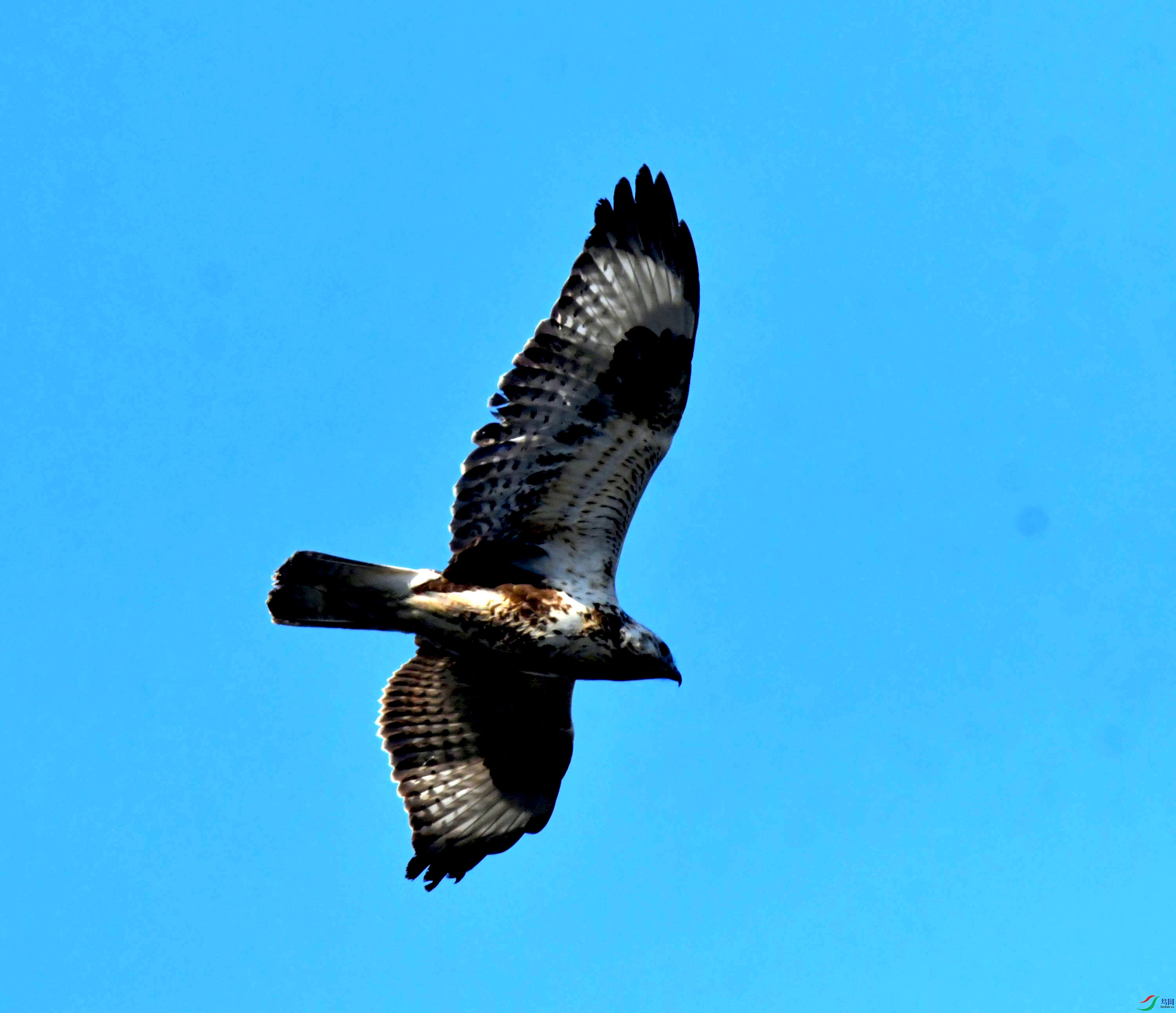 DSC_2541.JPG