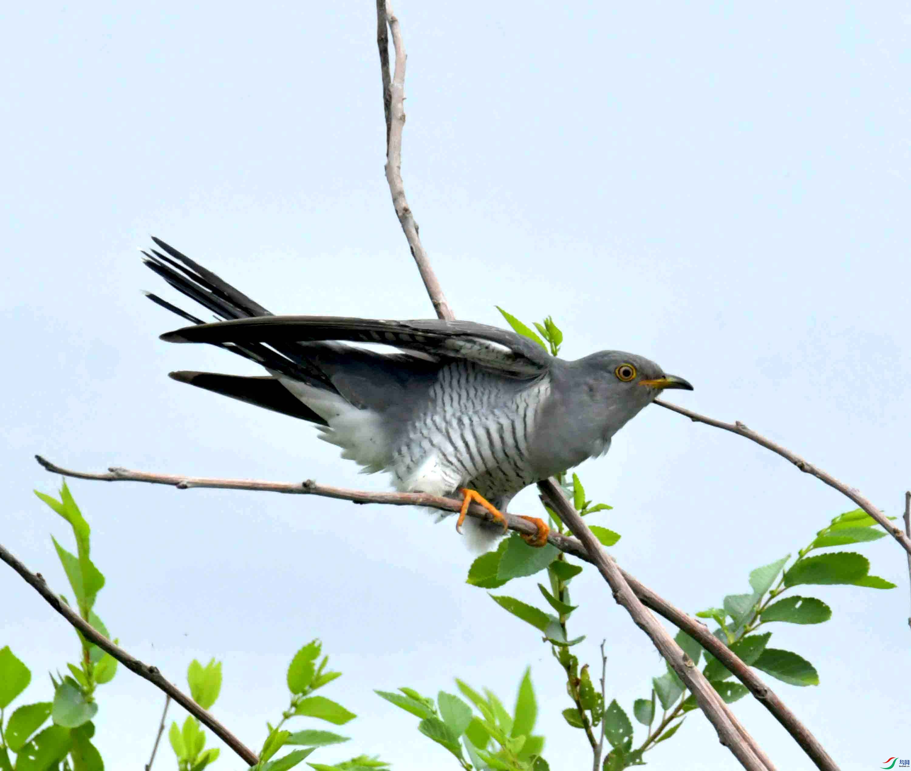 DSC_9431.JPG