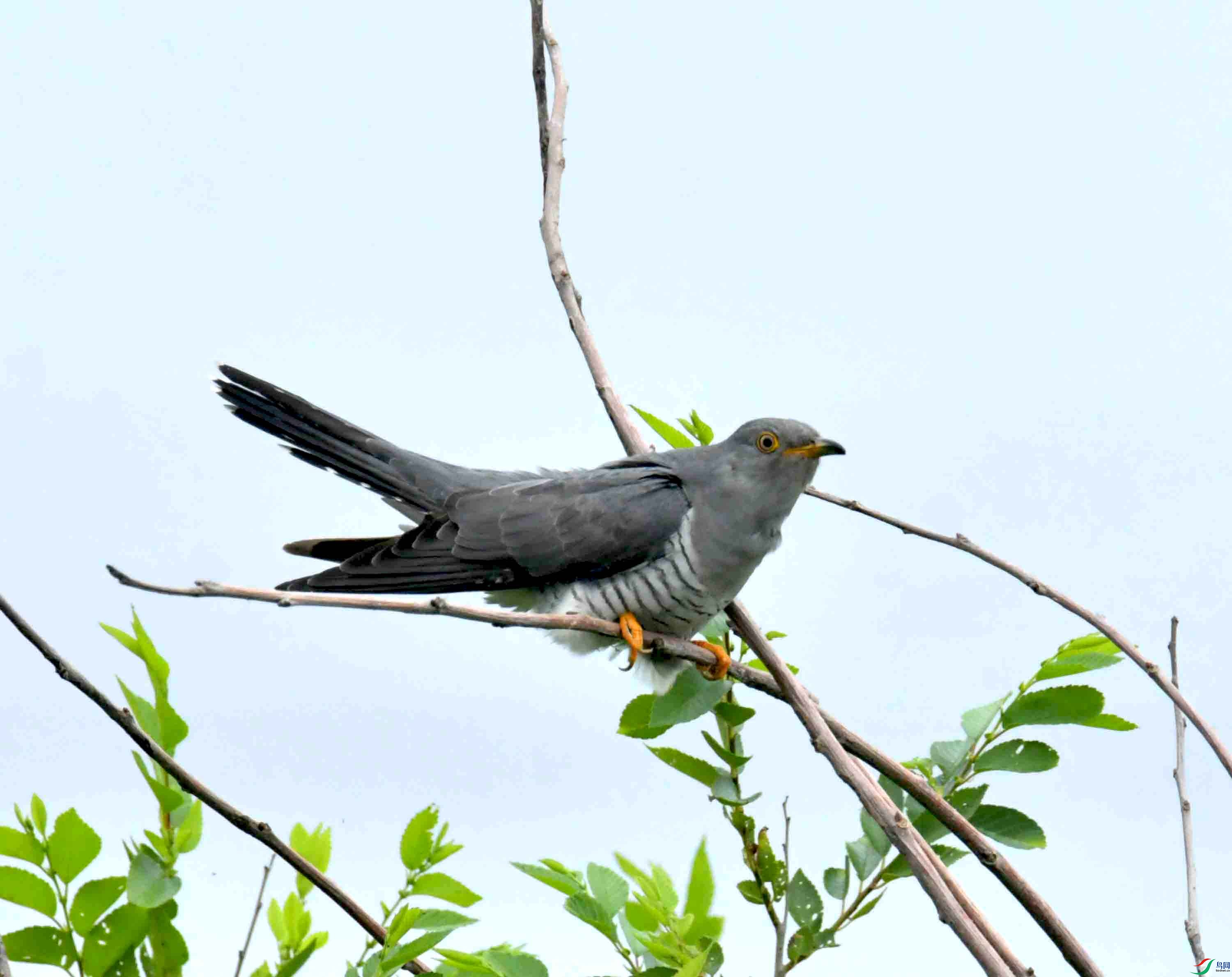 DSC_9435.JPG