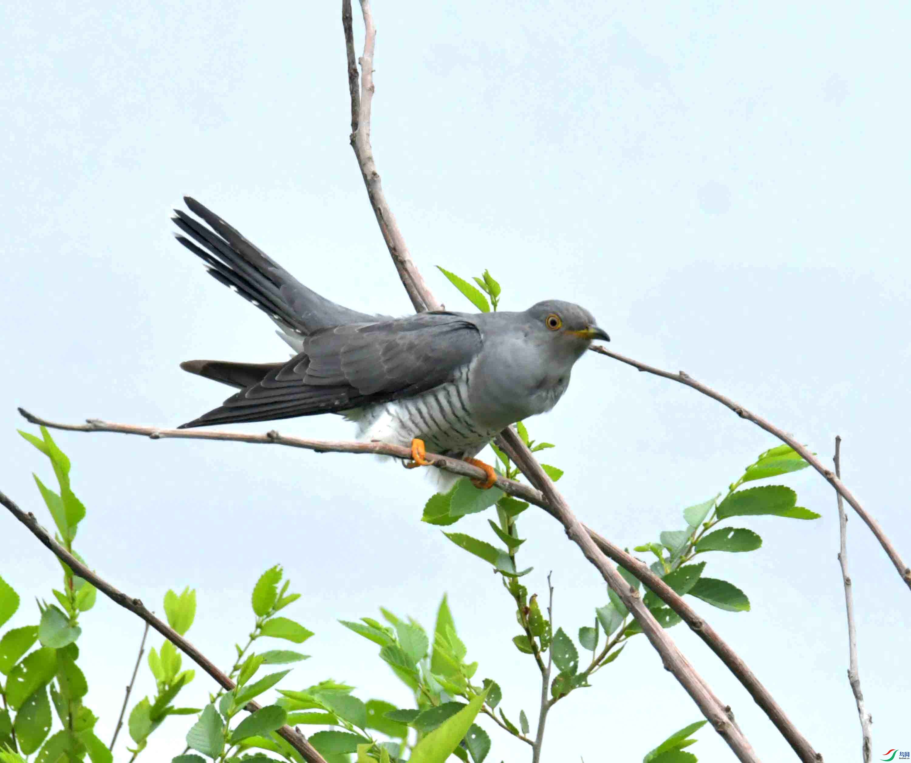 DSC_9438.JPG
