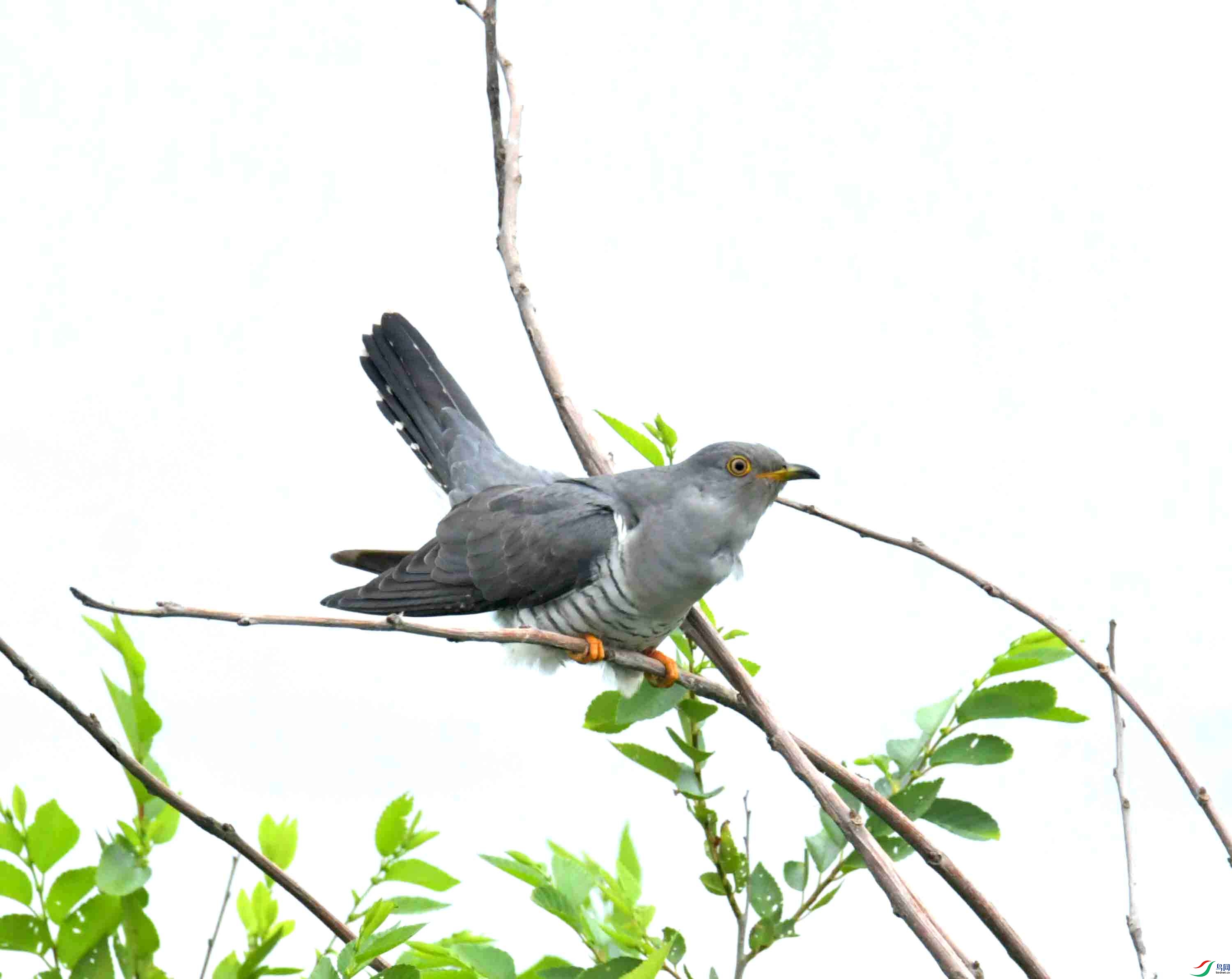 DSC_9441.JPG