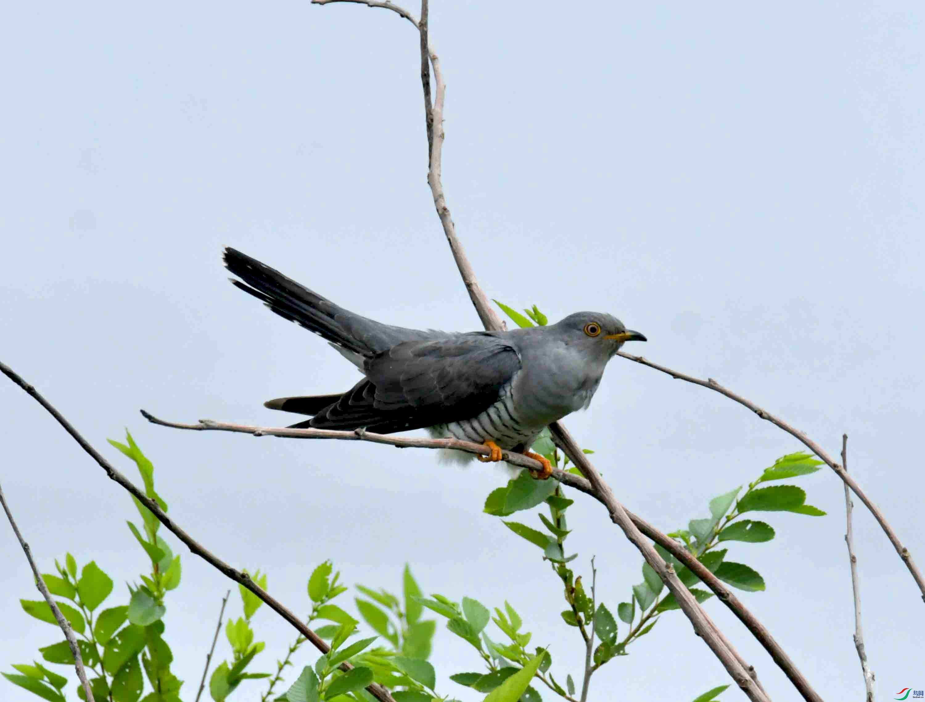 DSC_9443.JPG
