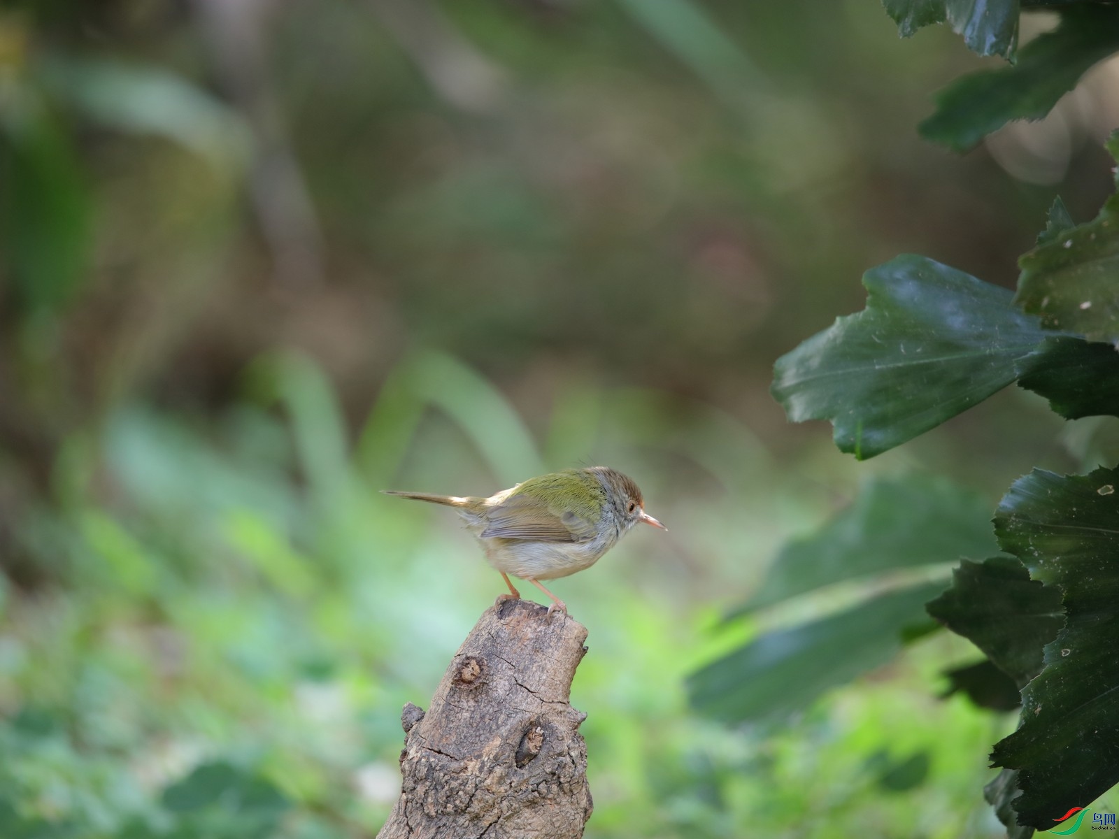 4U0A8105.JPG