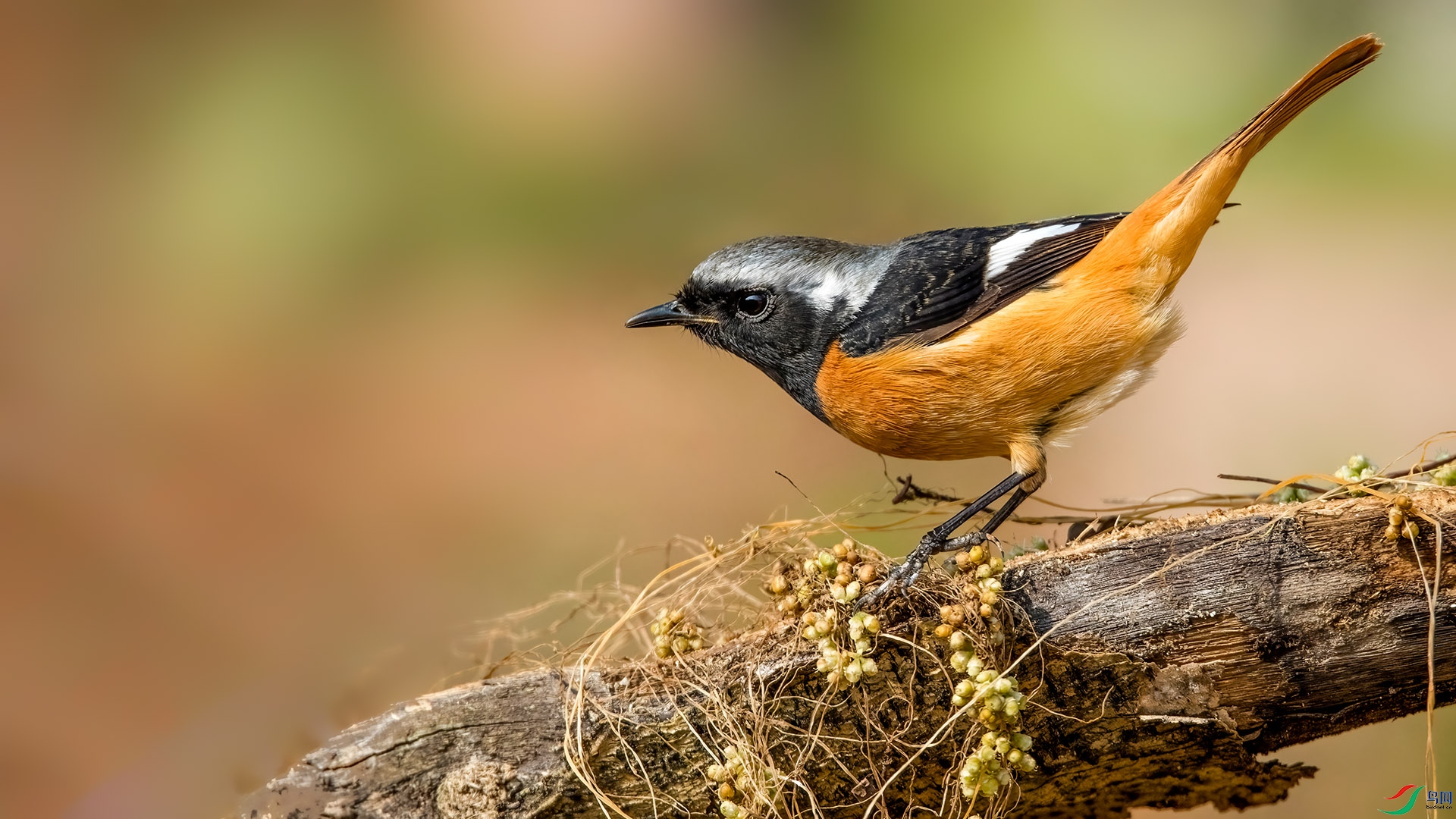 4U0A1920_����β� (2).jpg