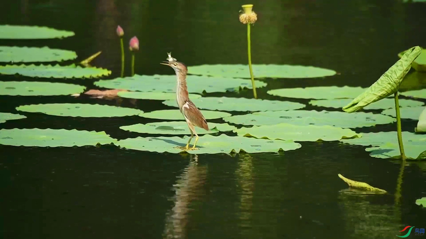 ��ʽ�������� ��ʽ�������� D ��ʽ�������� D_Moment-02-01-0001.jpg