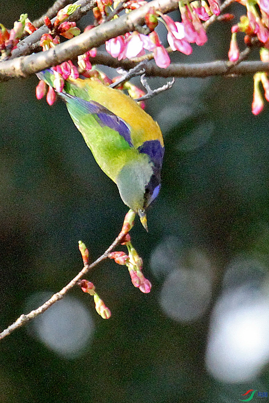 IMG_6891.JPG