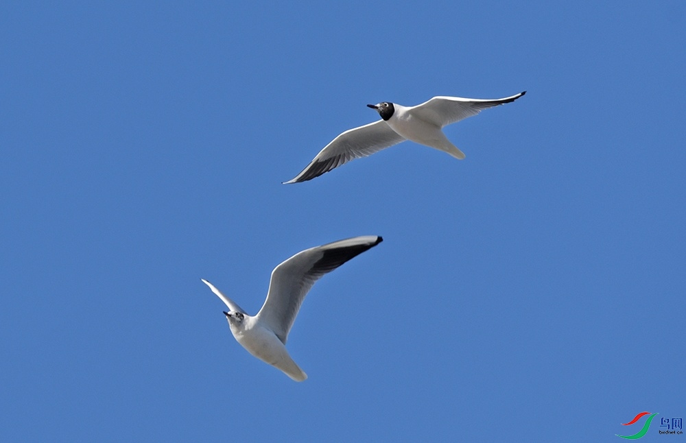 DSC_3837.jpg