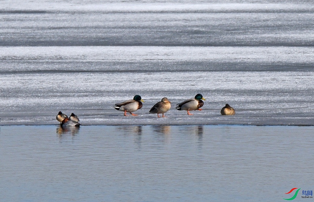 DSC_3582.jpg