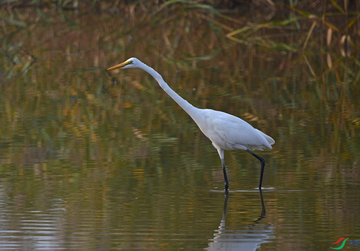 DSC_0754.jpg