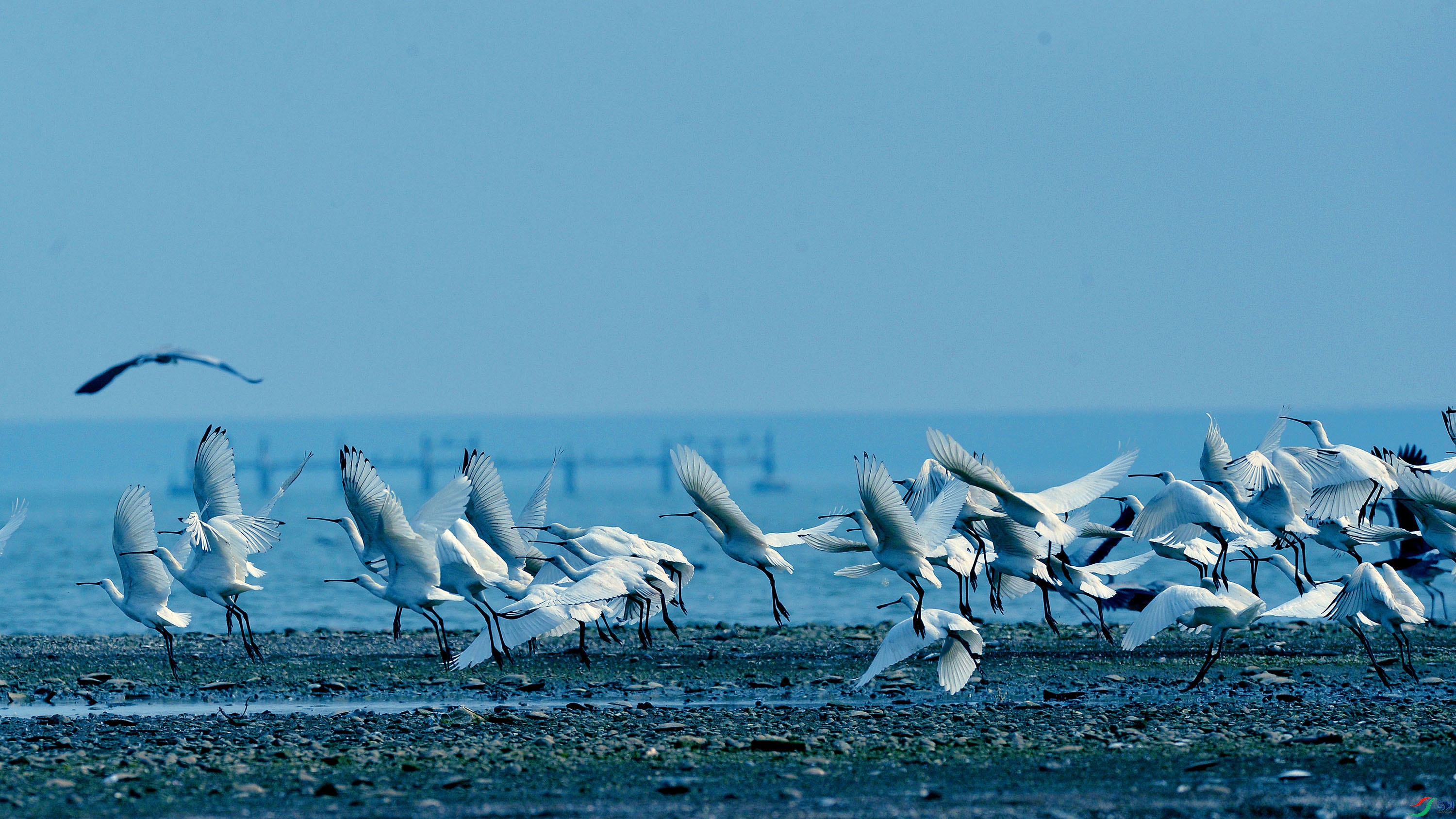 DSC_8665.jpg