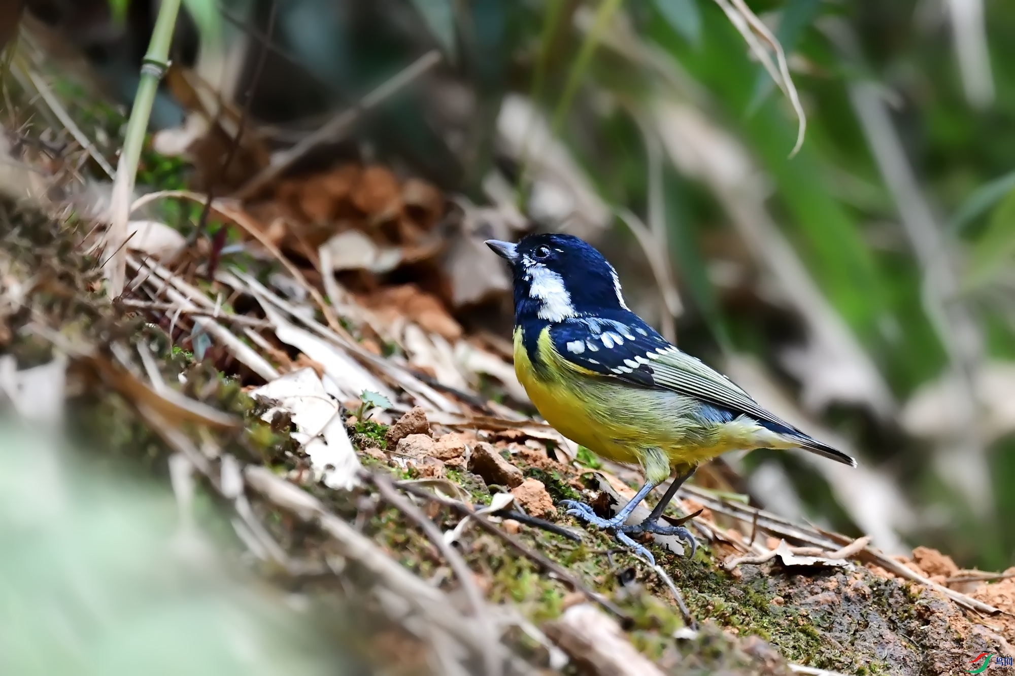 DSC_3073.jpg