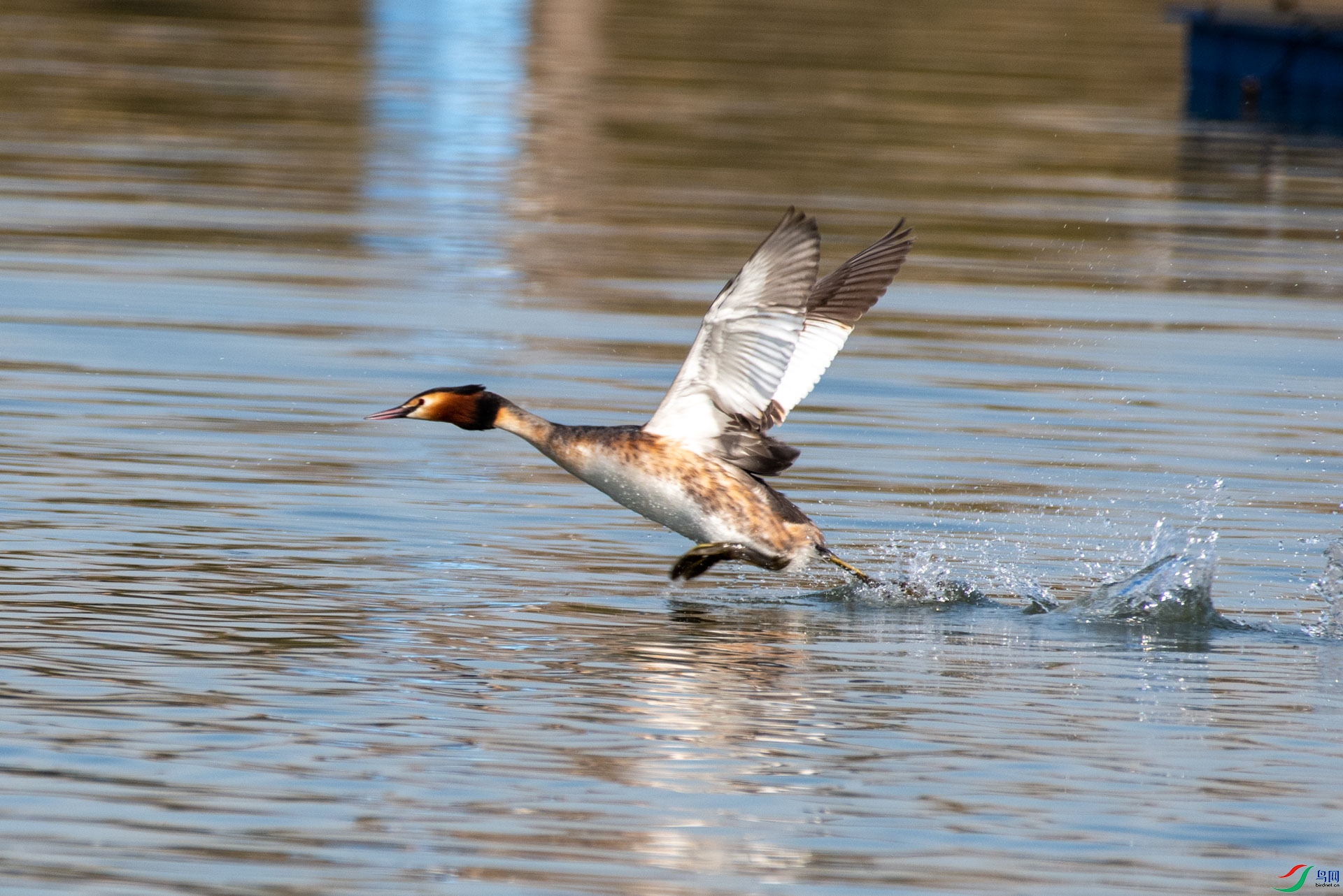 DSC_3915.jpg