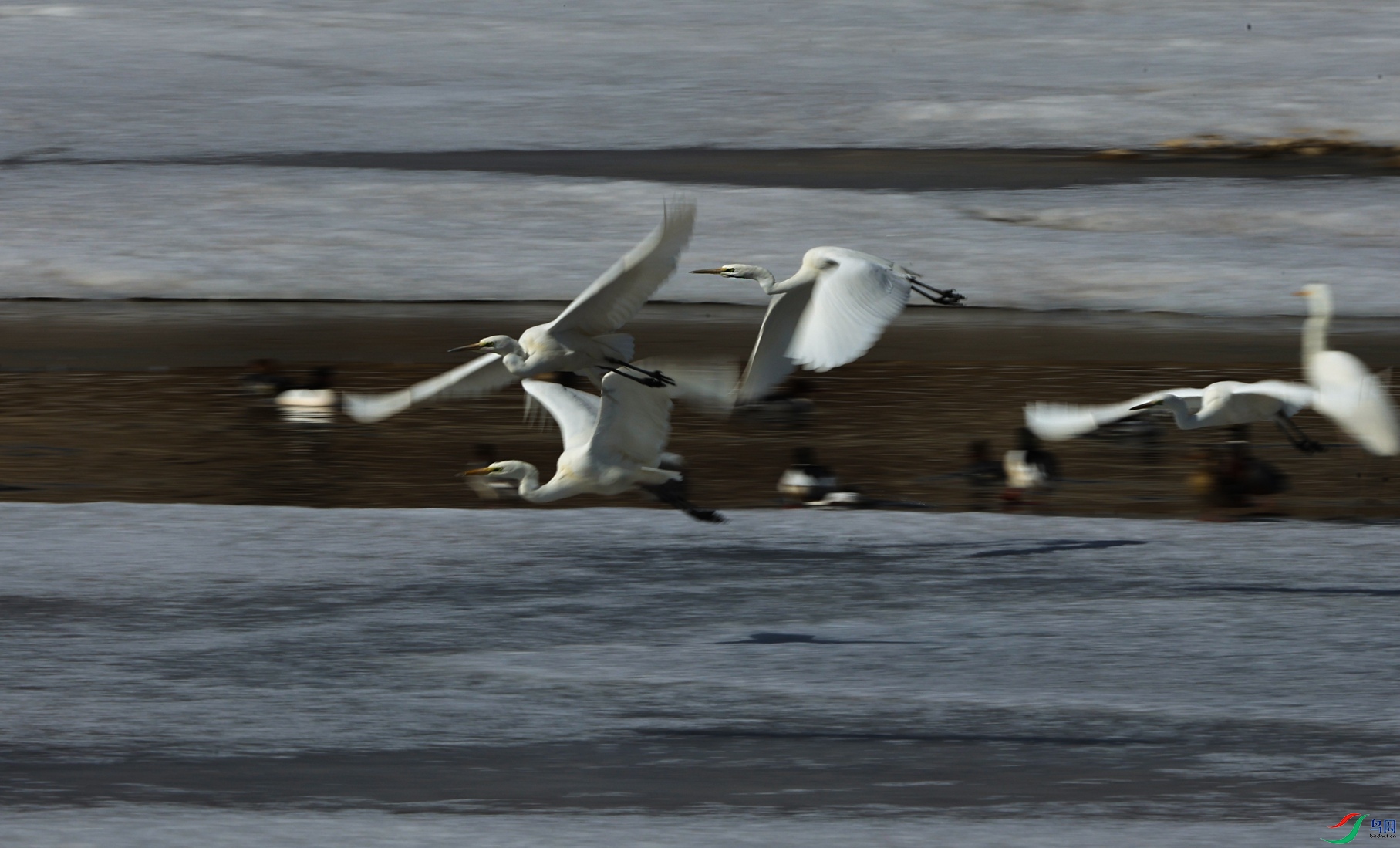 7X5A8518 - ����_����_����.jpg