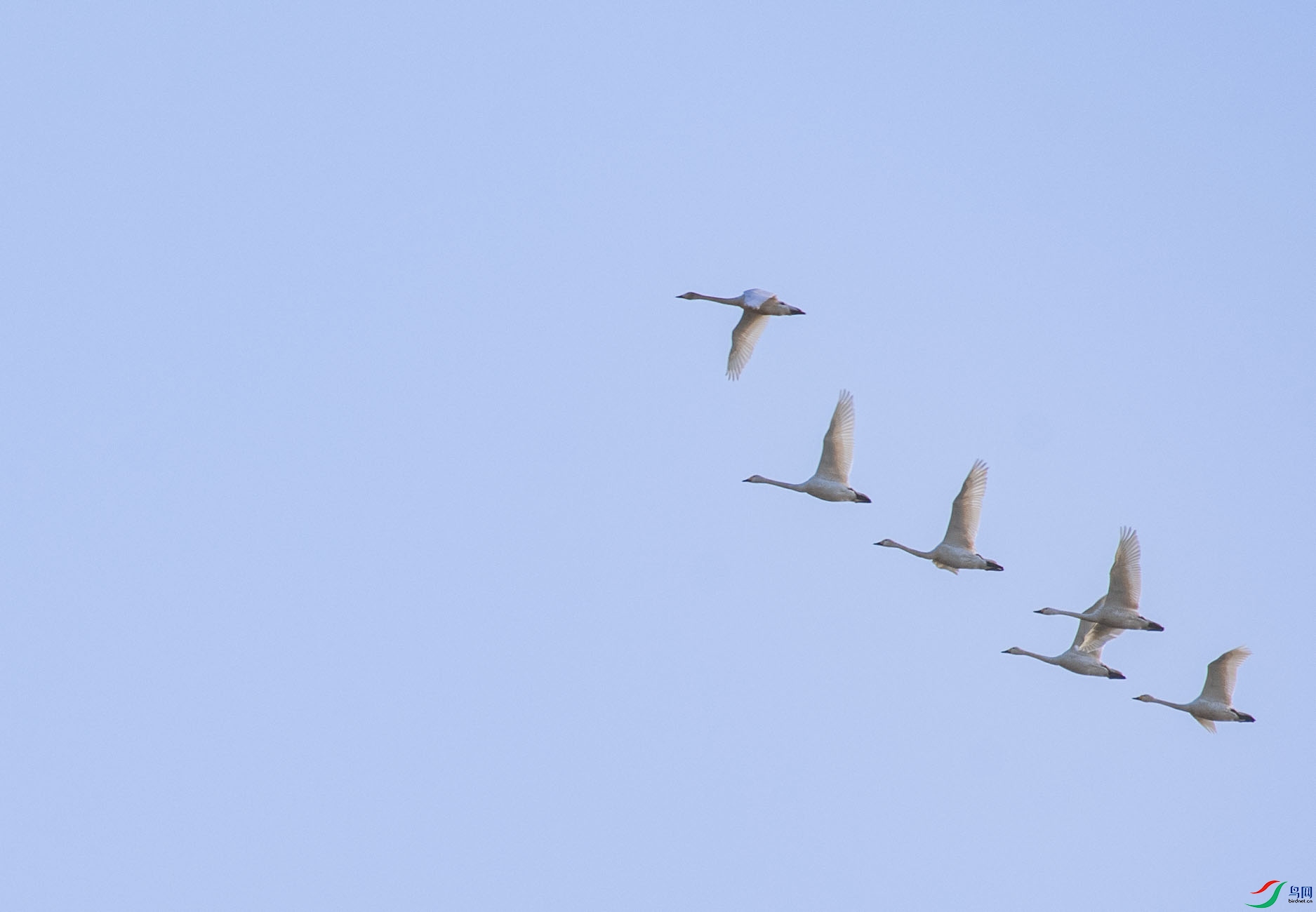 DSC_3140.jpg