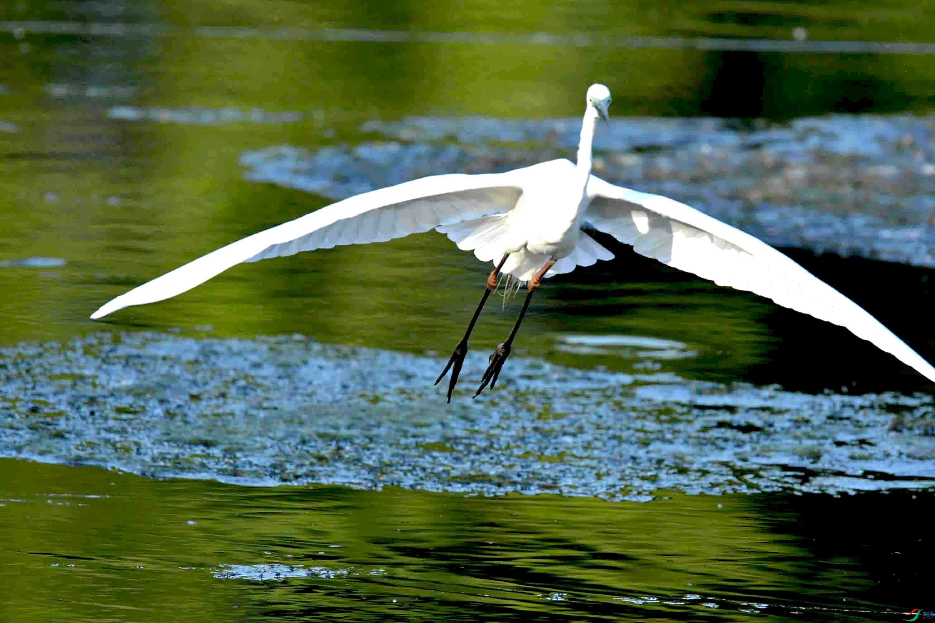 DSC_0838.JPG