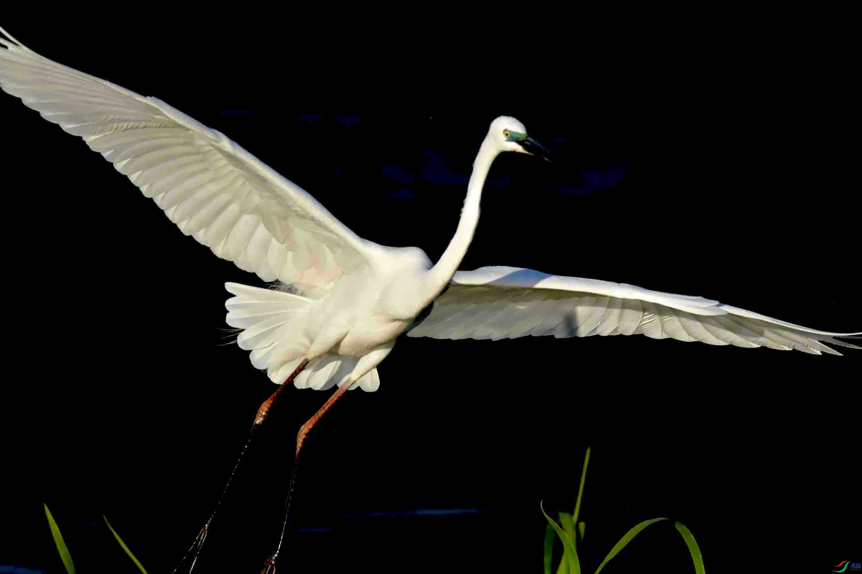 DSC_0841.JPG