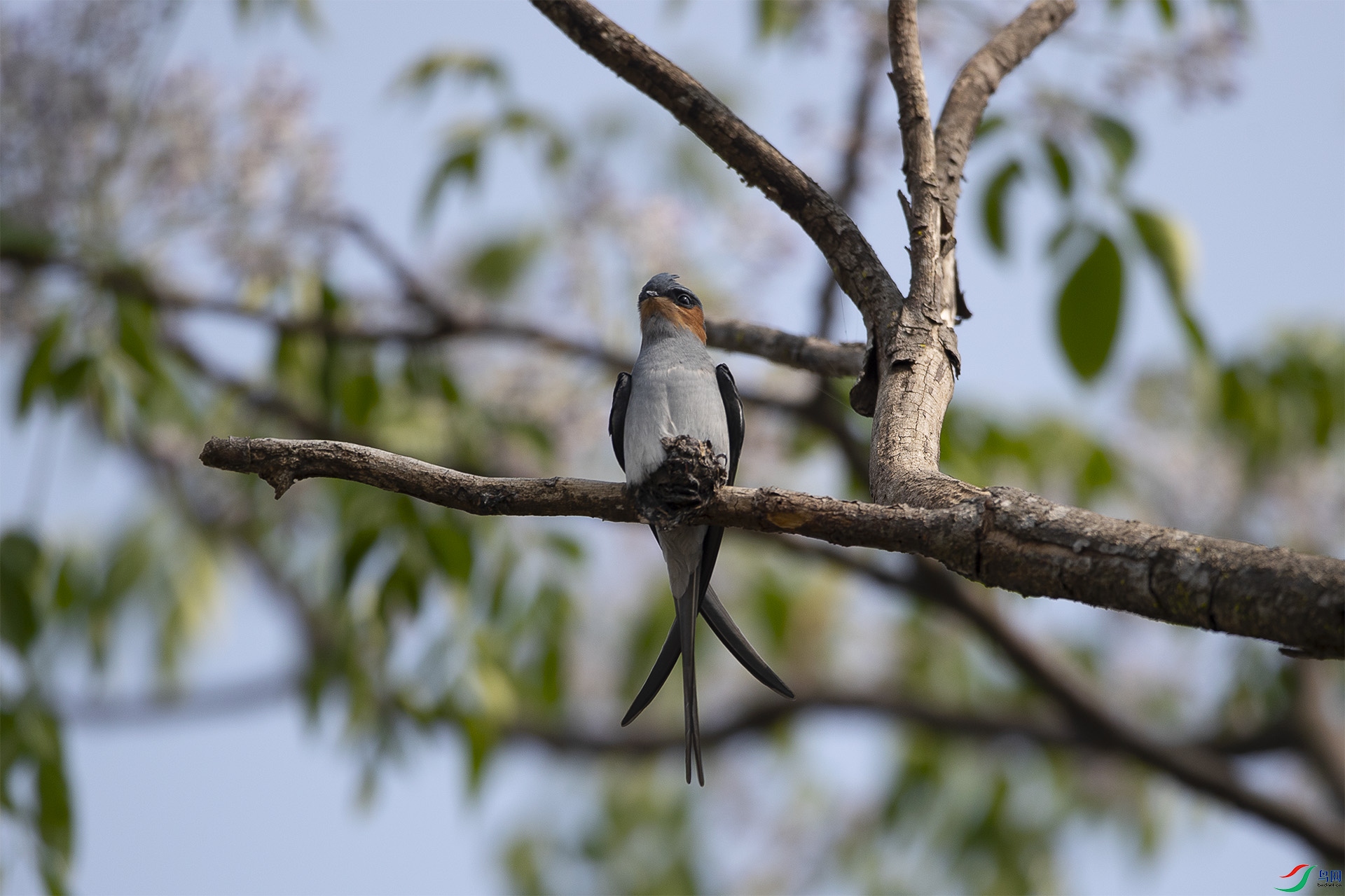 CD0I8339 ����.jpg