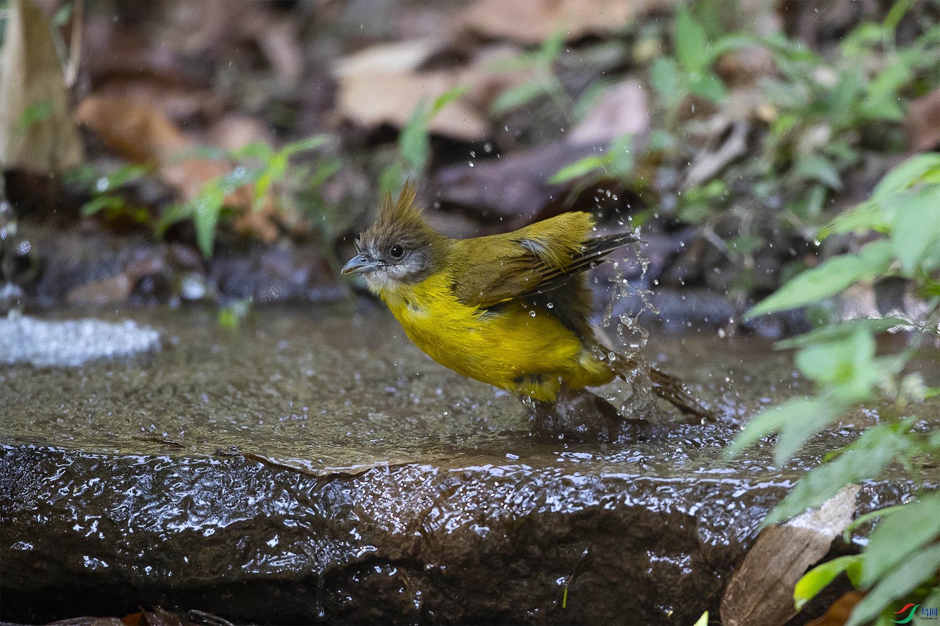 CD0I8264 ����.jpg