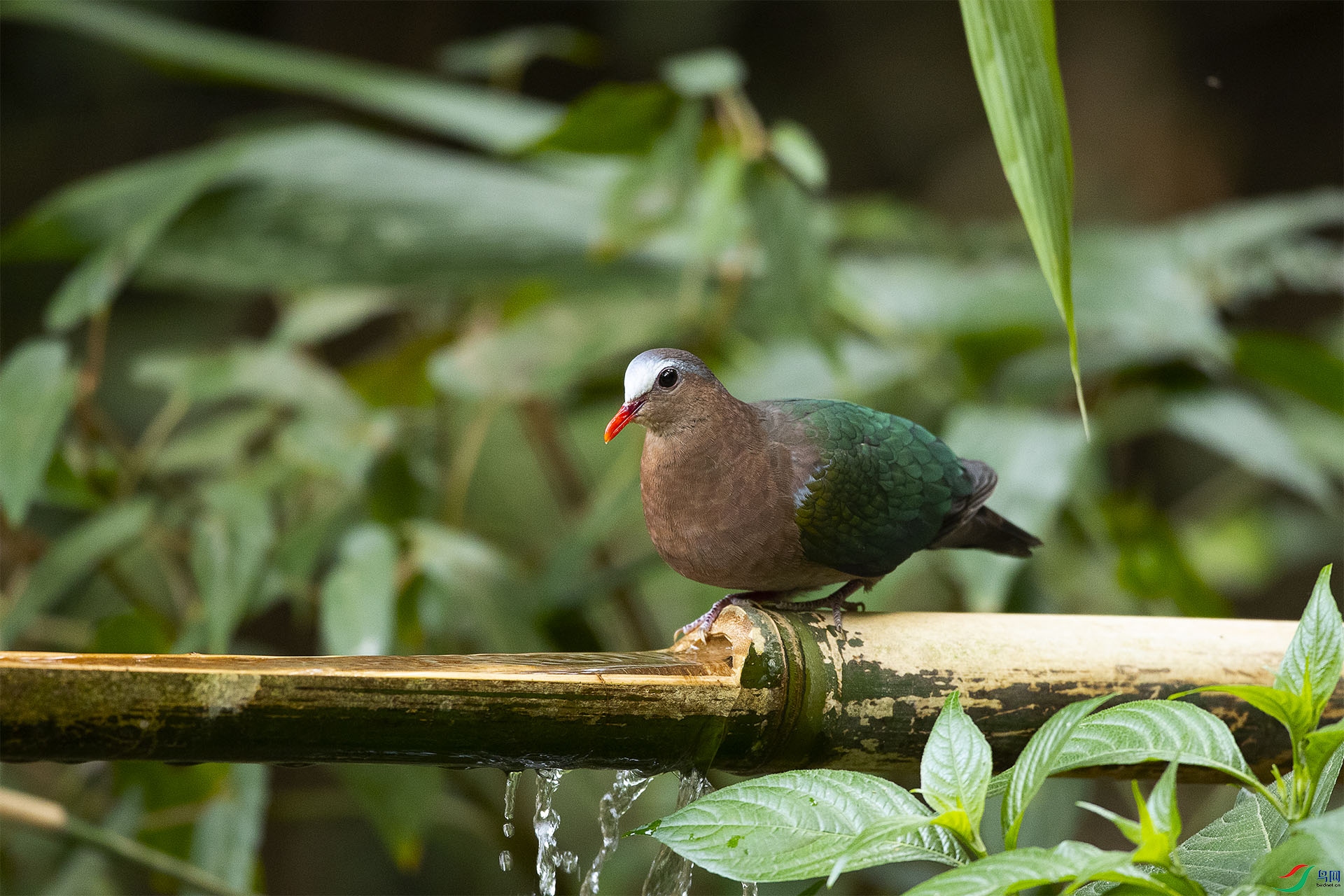 CD0I7477 ����.jpg