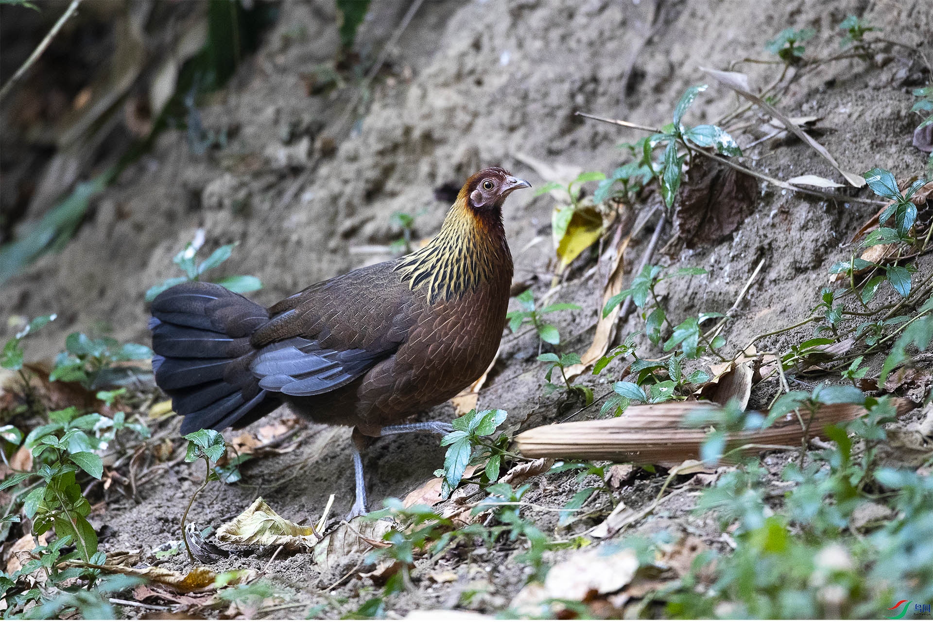 CD0I7859 ����.jpg