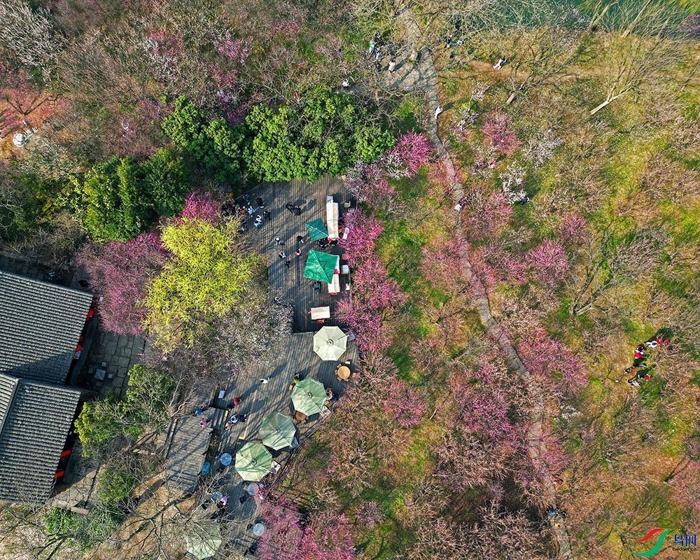 DJI_0320.jpg