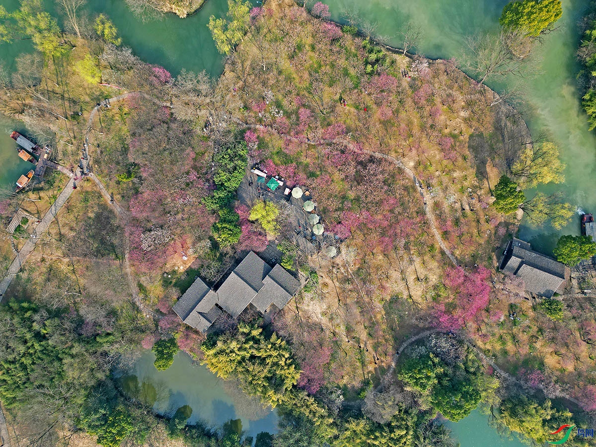 DJI_0311.jpg
