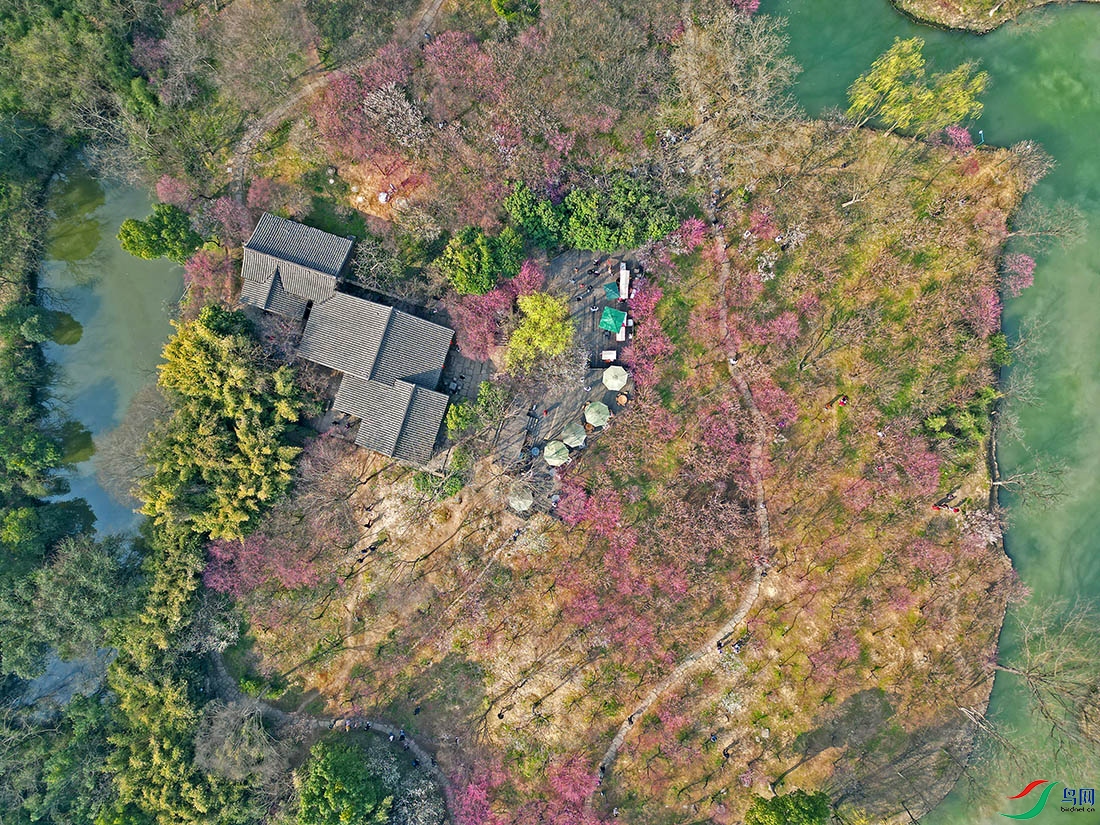 DJI_0314.jpg