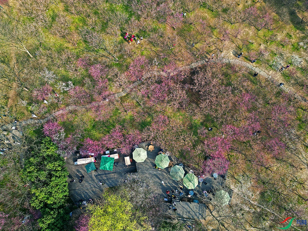 DJI_0322.jpg