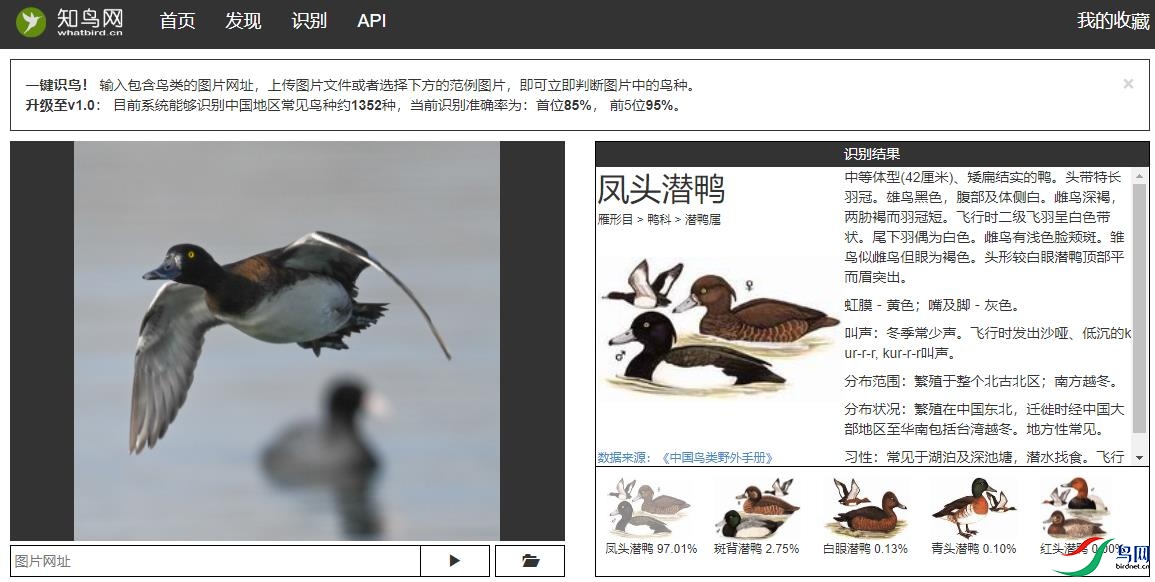 DSC_0799ʶ�񣨷�ͷǱѼ��.jpg