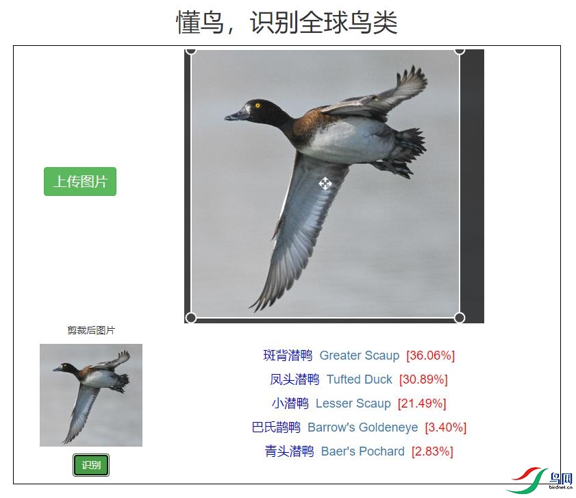 DSC_0827ʶ�񣨷�ͷǱѼʶ������.jpg