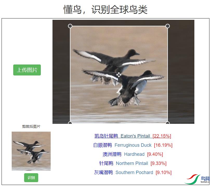 DSC_0910ʶ�񣨿�����βѼ���߰���ǱѼ��.jpg